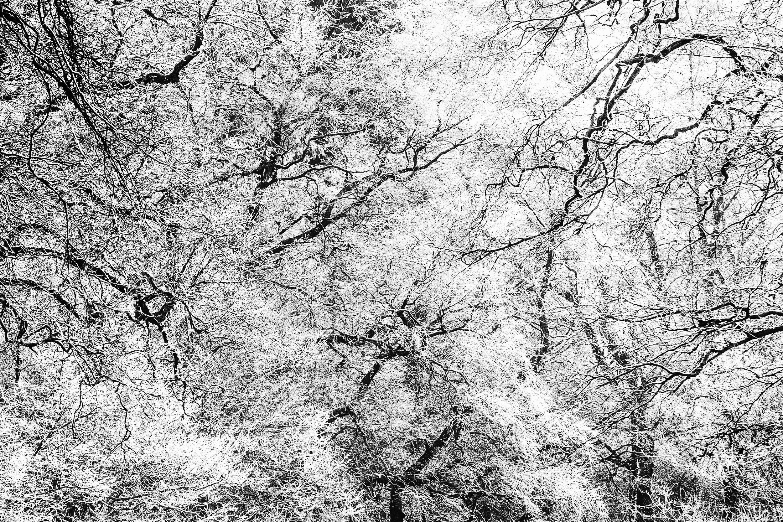 "Hoar Frost" - Brecon Beacons, South Wales Fujifilm X-T1 + 18-135mm f/3.5 - f/5.6 @ f/13. 1/160