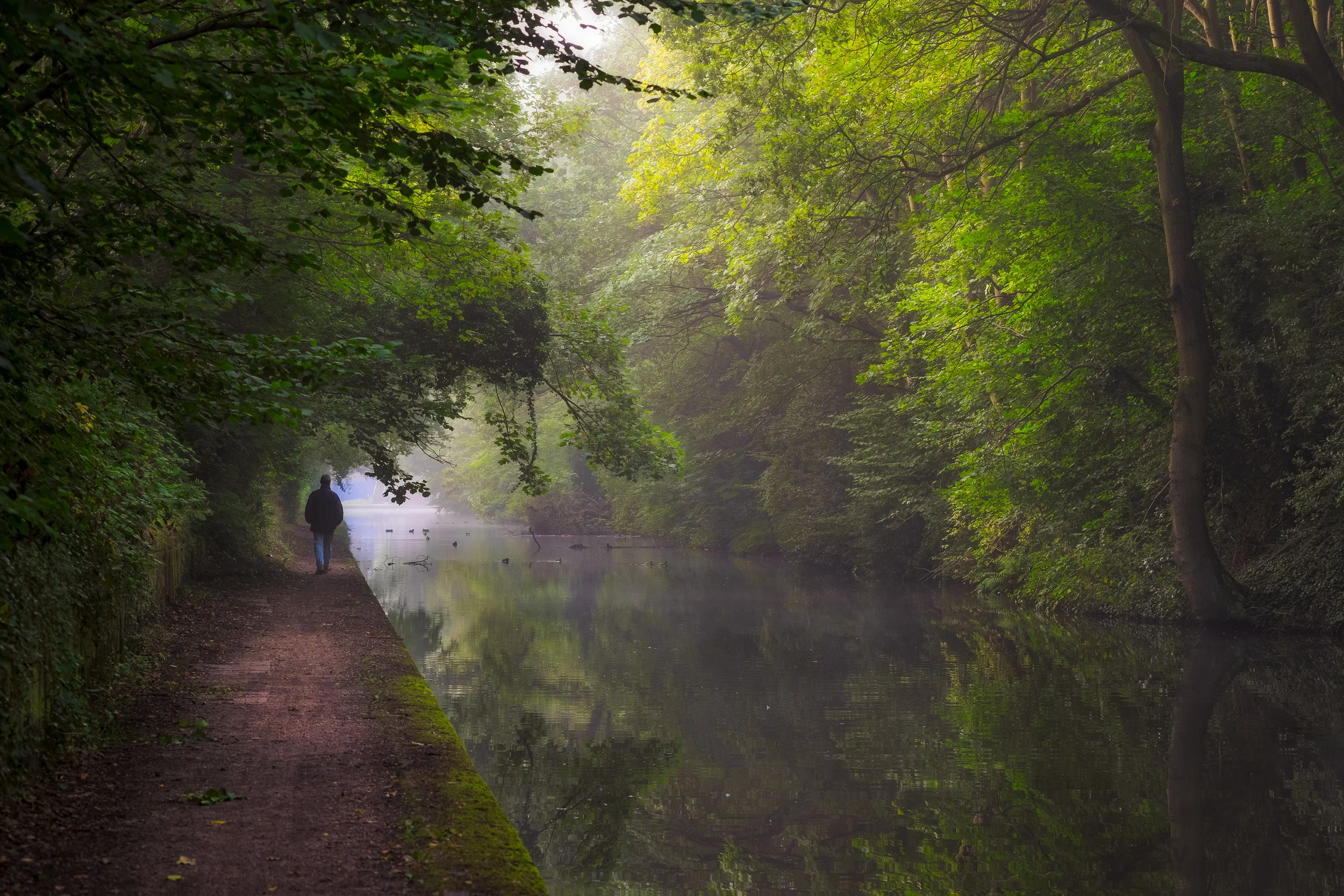 Grand Union Canal in Summer, Birmingham