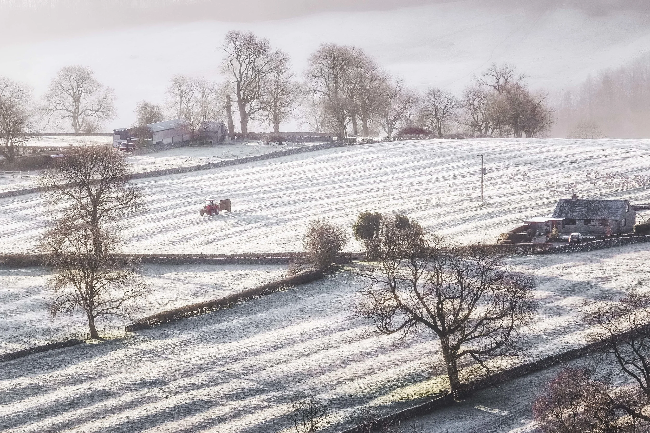 Overlooking the Frosty Fields of Dovedale