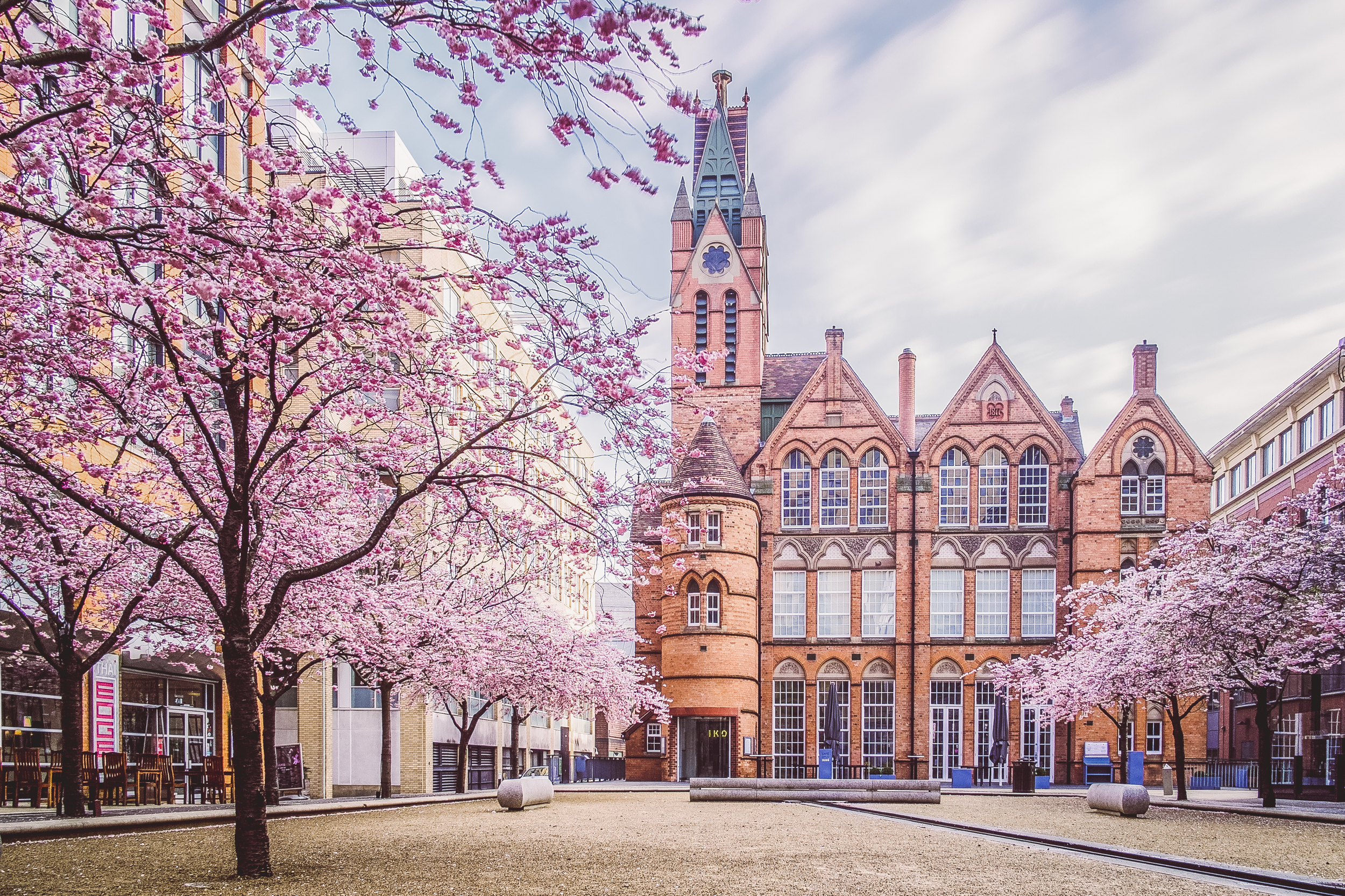 Cherry Blossom outside the Ikon Gallery, Birmingham