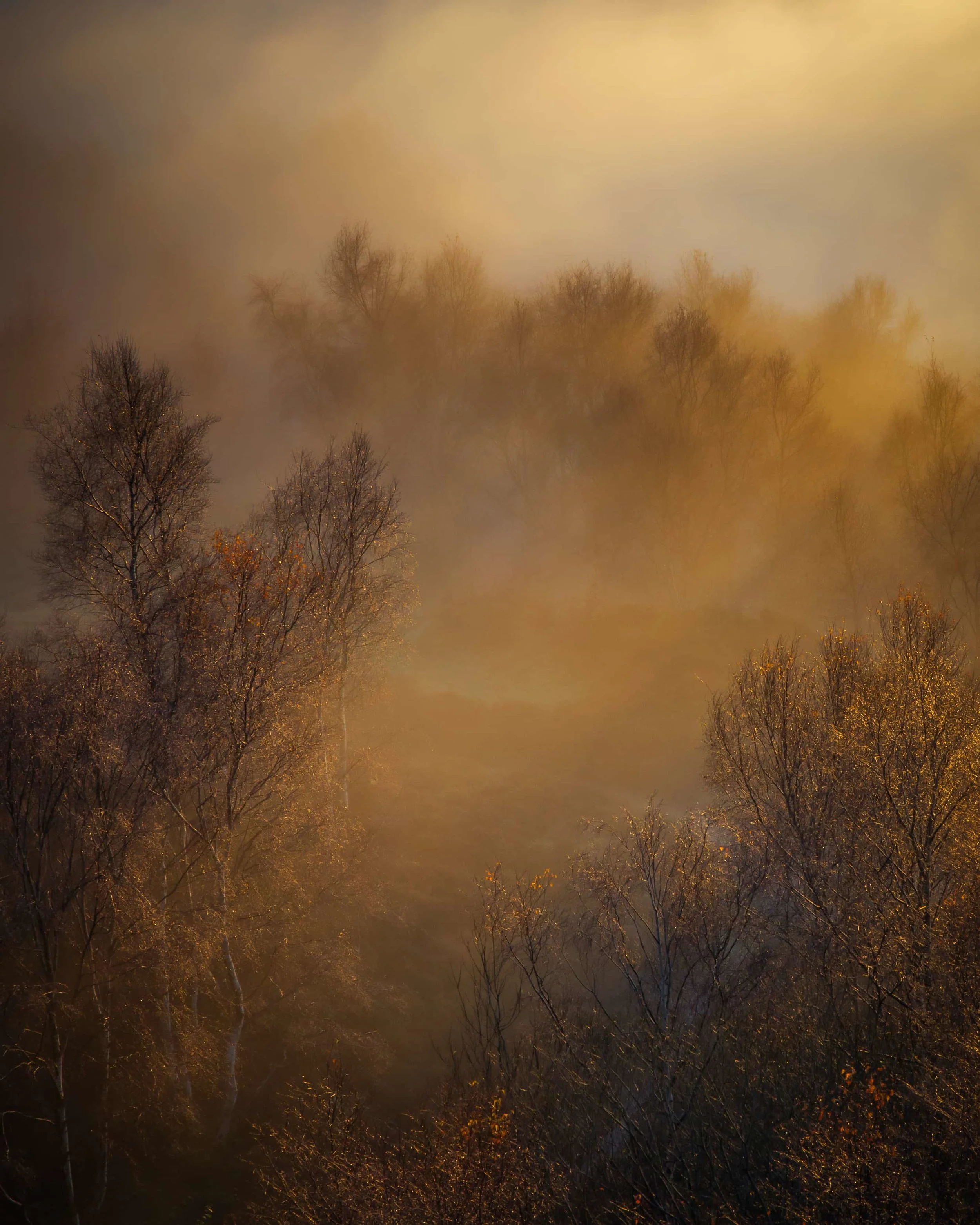 Cloud Inversion in the Hope Valley