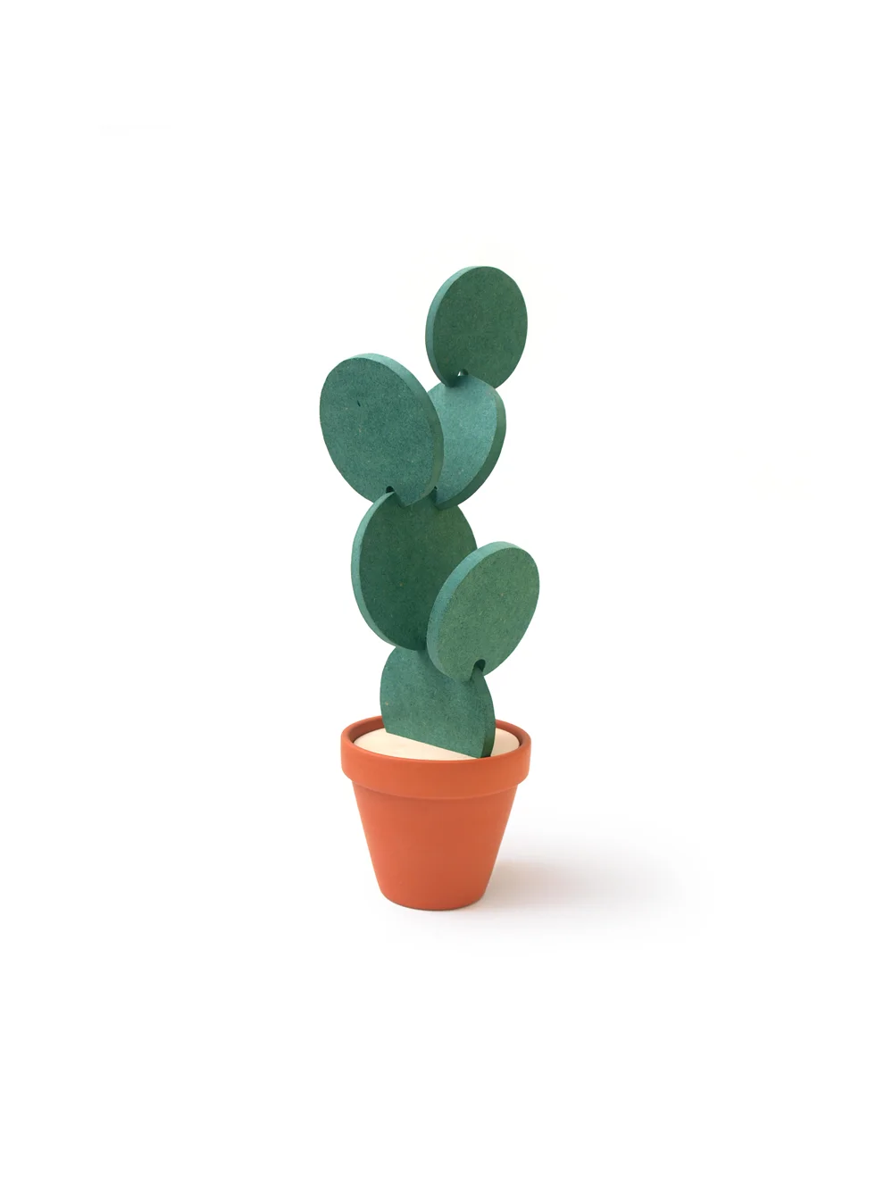 Cacti1_LBG.jpg