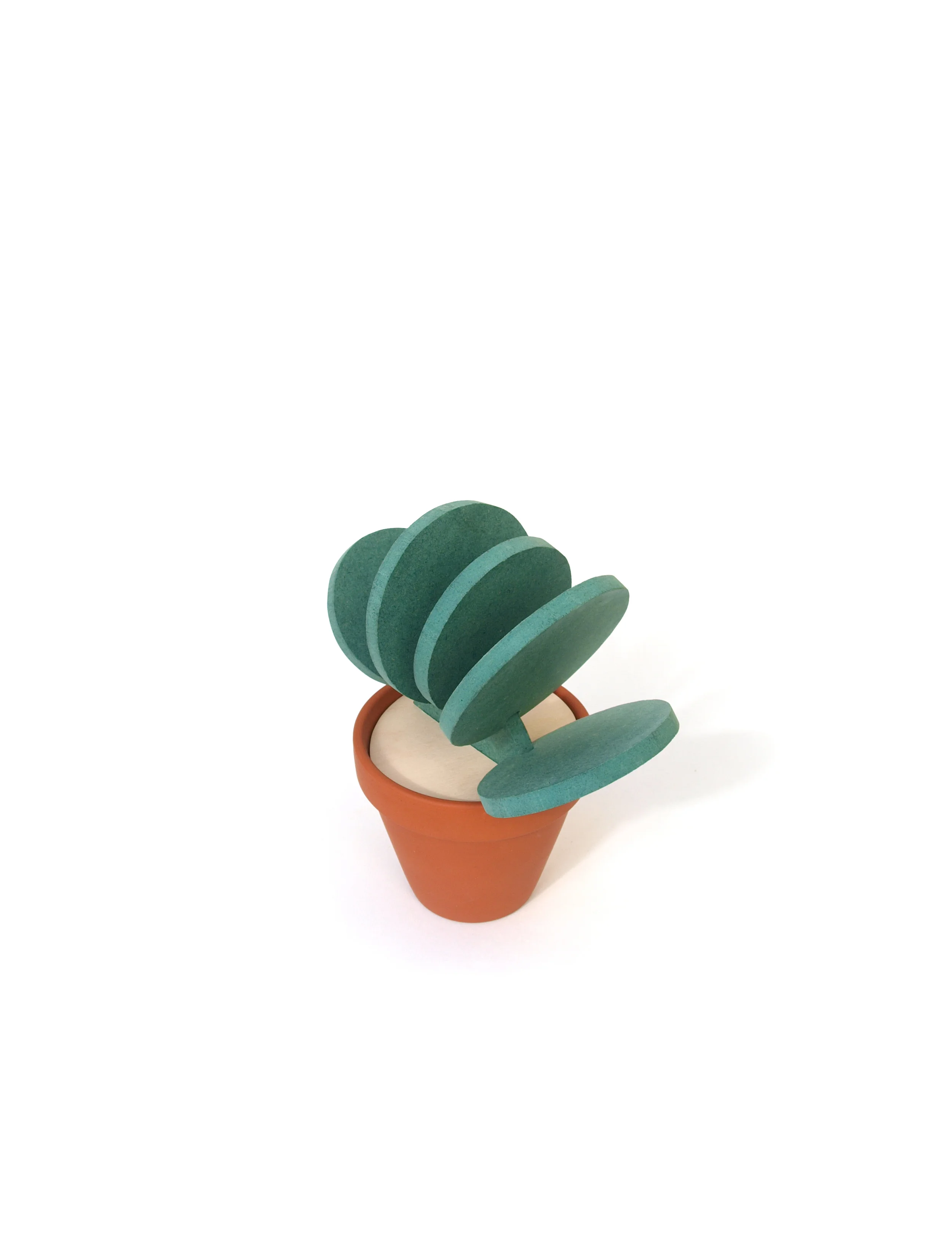 Cacti10.jpg