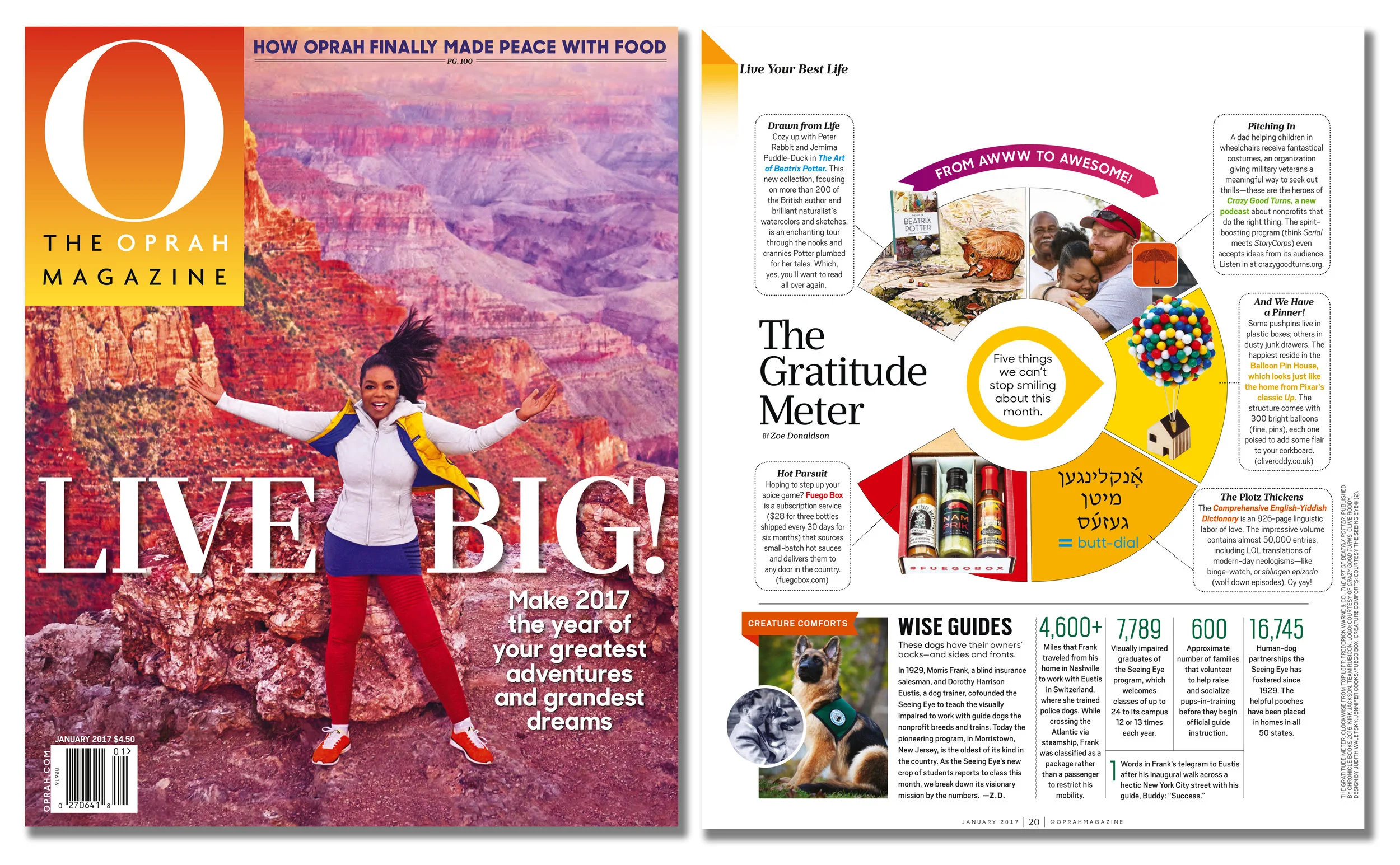 'Balloon Pin House' featured in 'O' - The Oprah Magazine . Published in December 2016. USA .