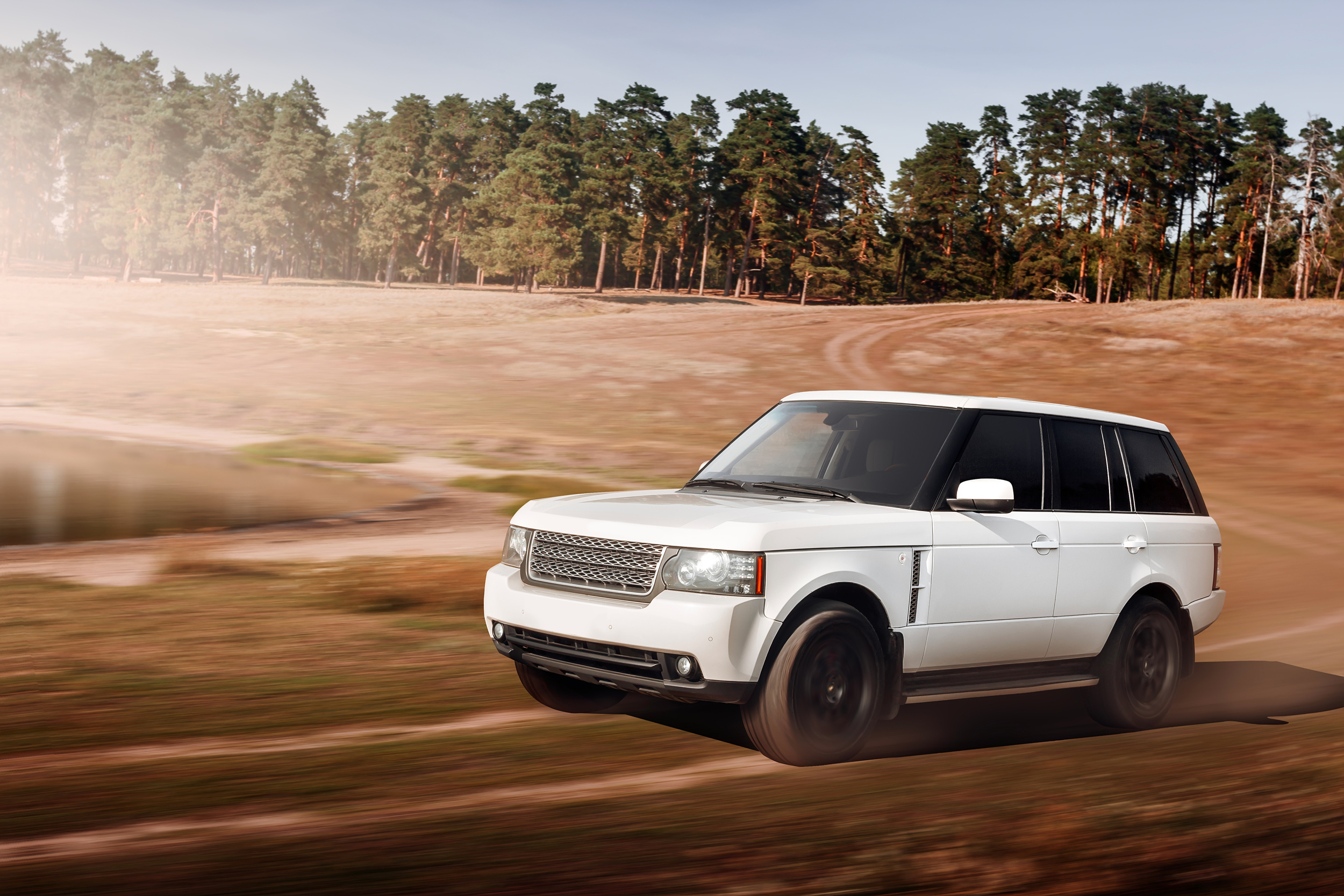 Luxury Cars