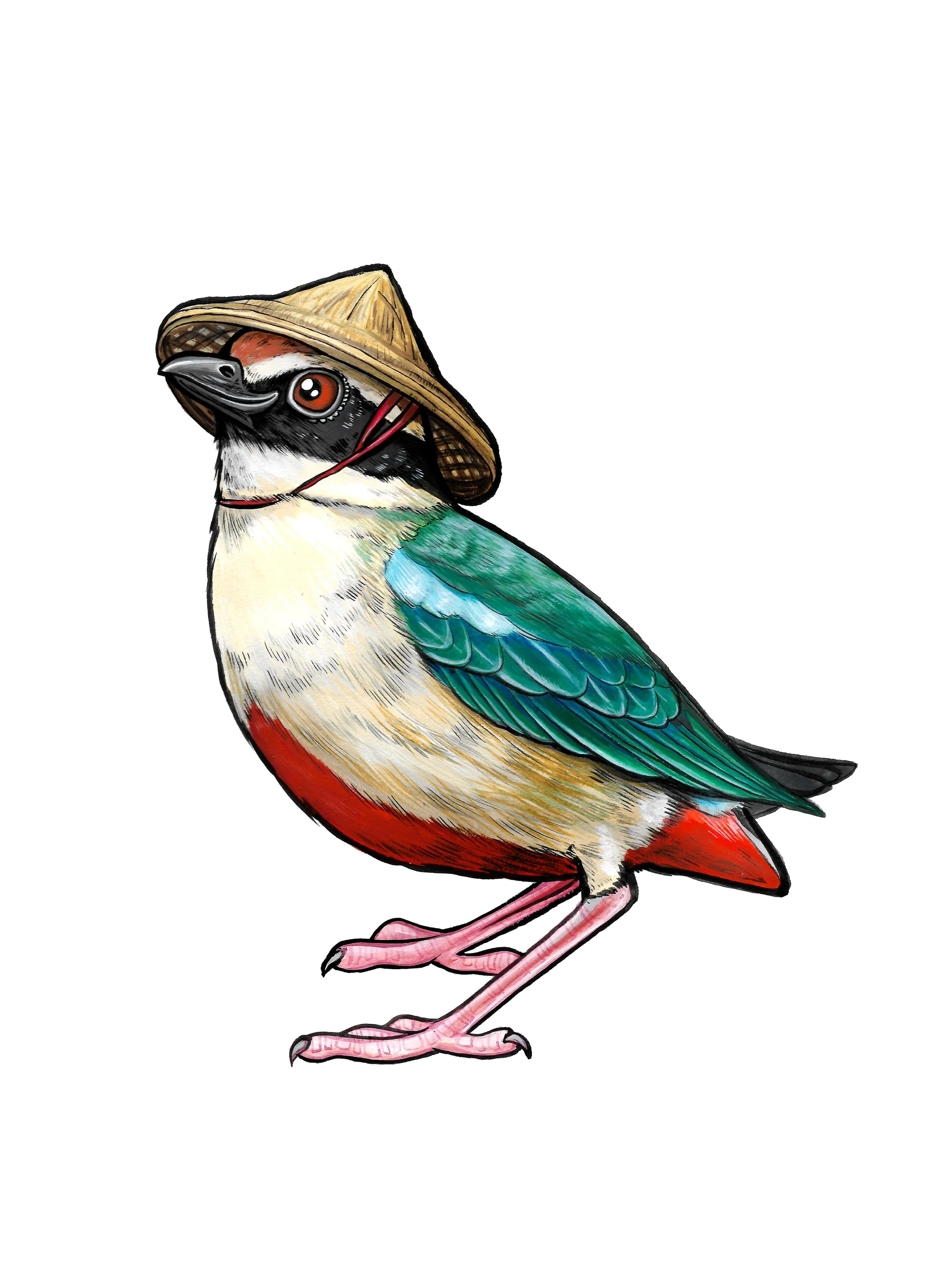 2019 Taiwan Exhob Fairy Pitta.jpg