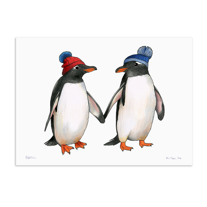 A Gentoopenguins.jpg