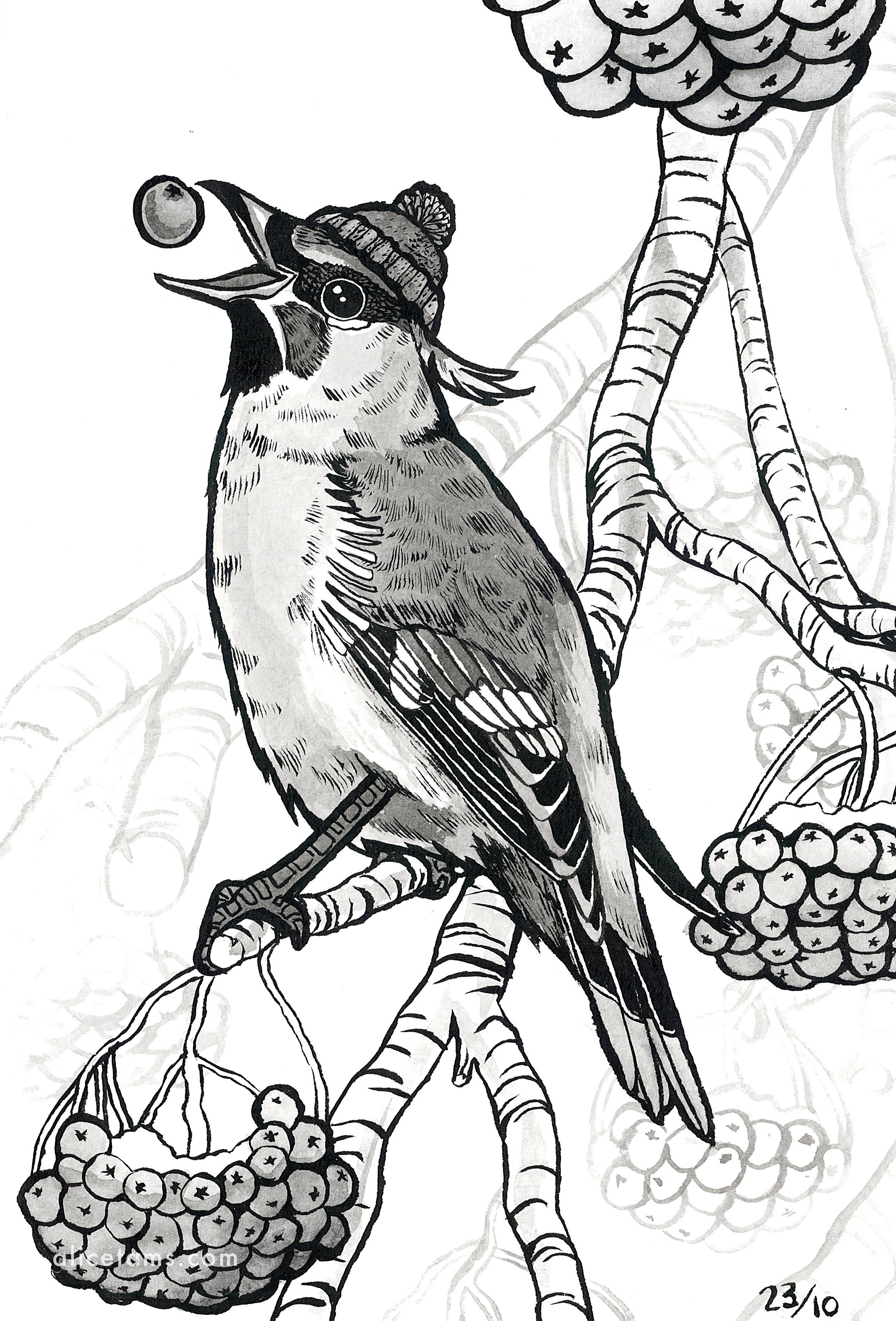 waxwing alicetams inktober