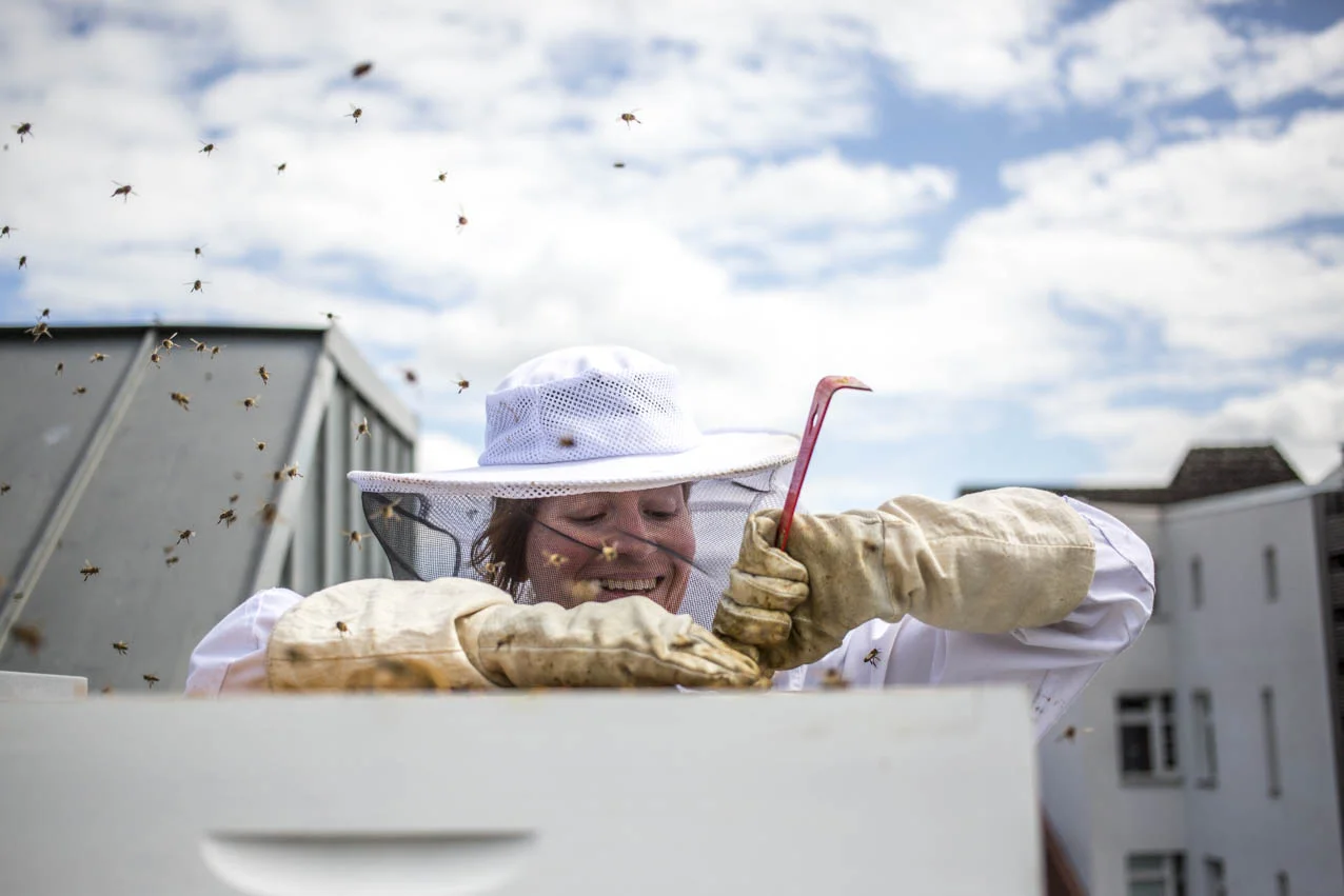 golden-girls-honey-hamburg-bienen-kontrolle-imkerin.jpg