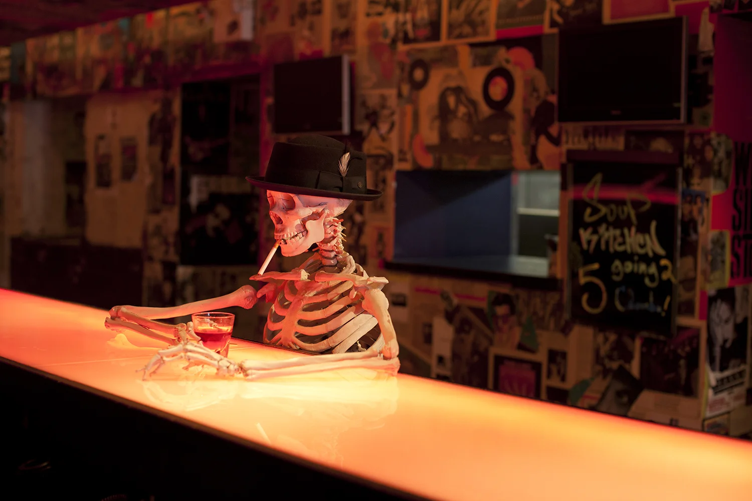 120204_rocknrose-02-041.jpg