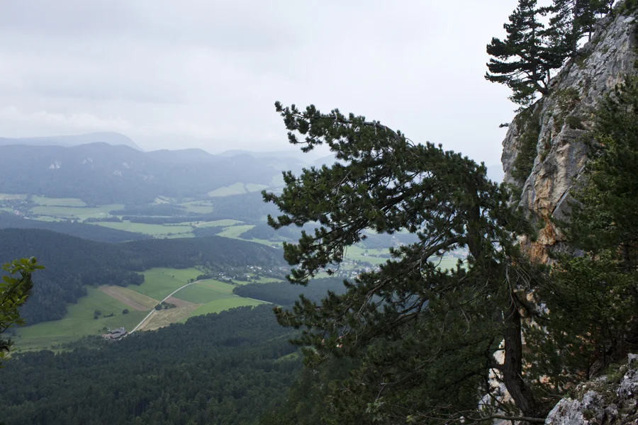 hikeweb2.jpg