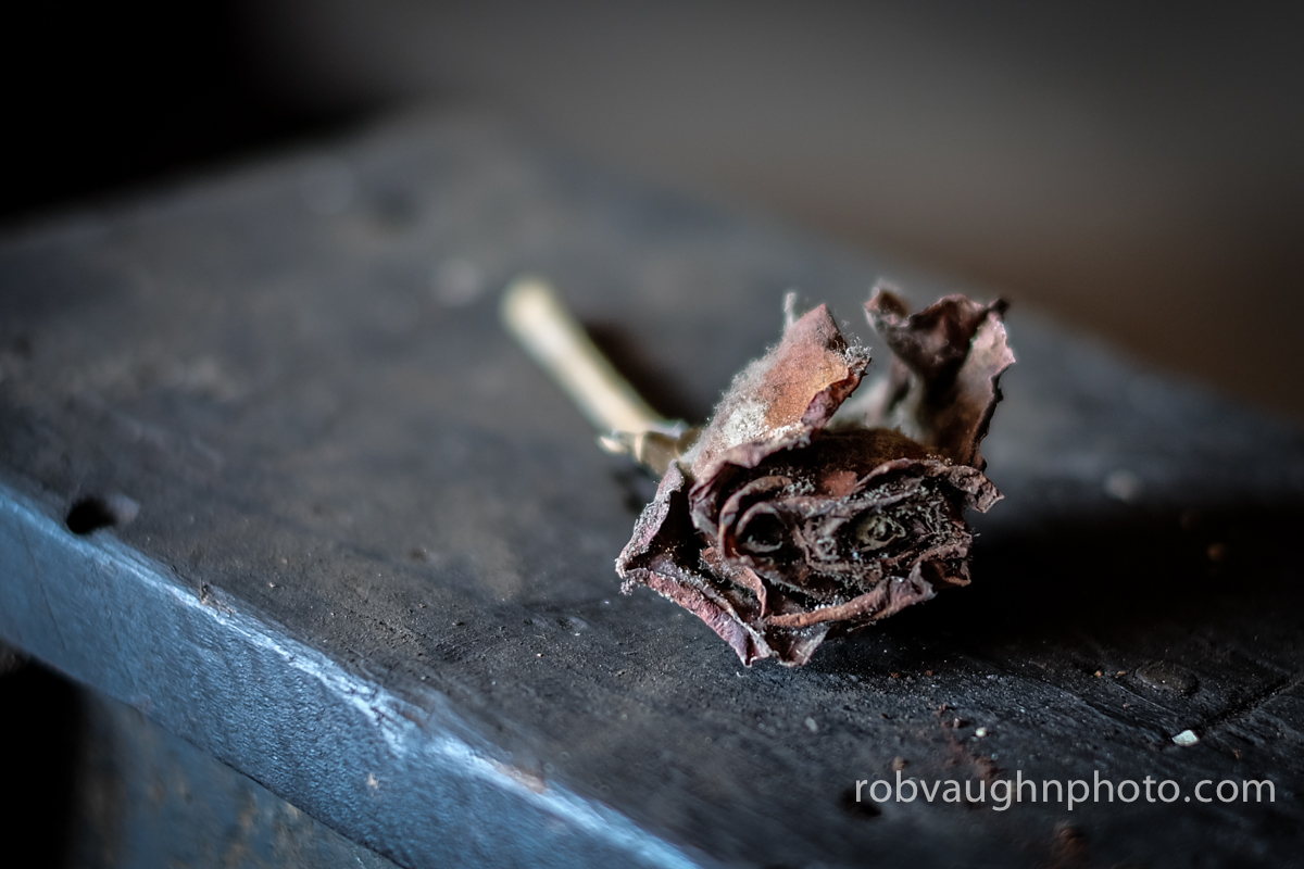 UX-Lonaconing Silk Mill_4.12.14-82_pp.jpg