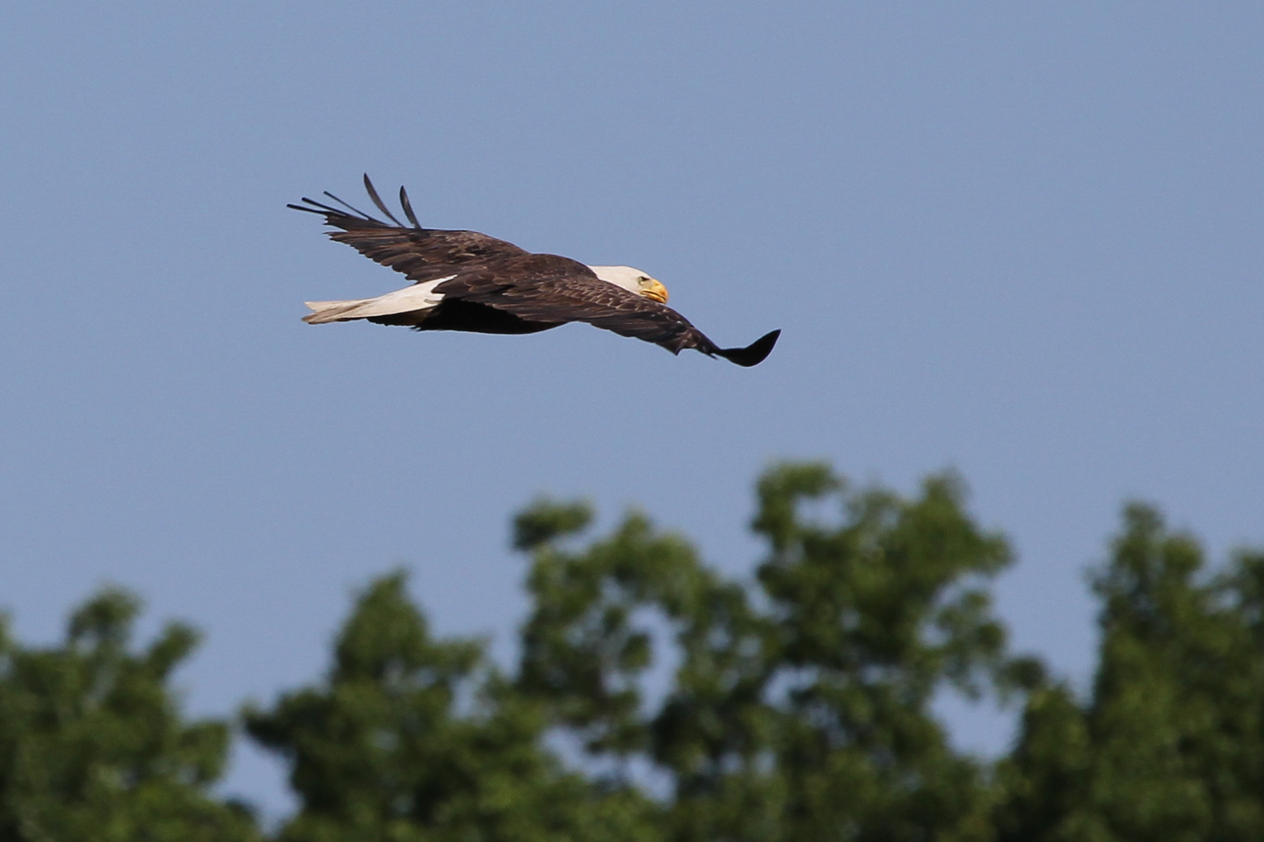 MP-Sandy Ridge_6.7.14-80_pp.jpg