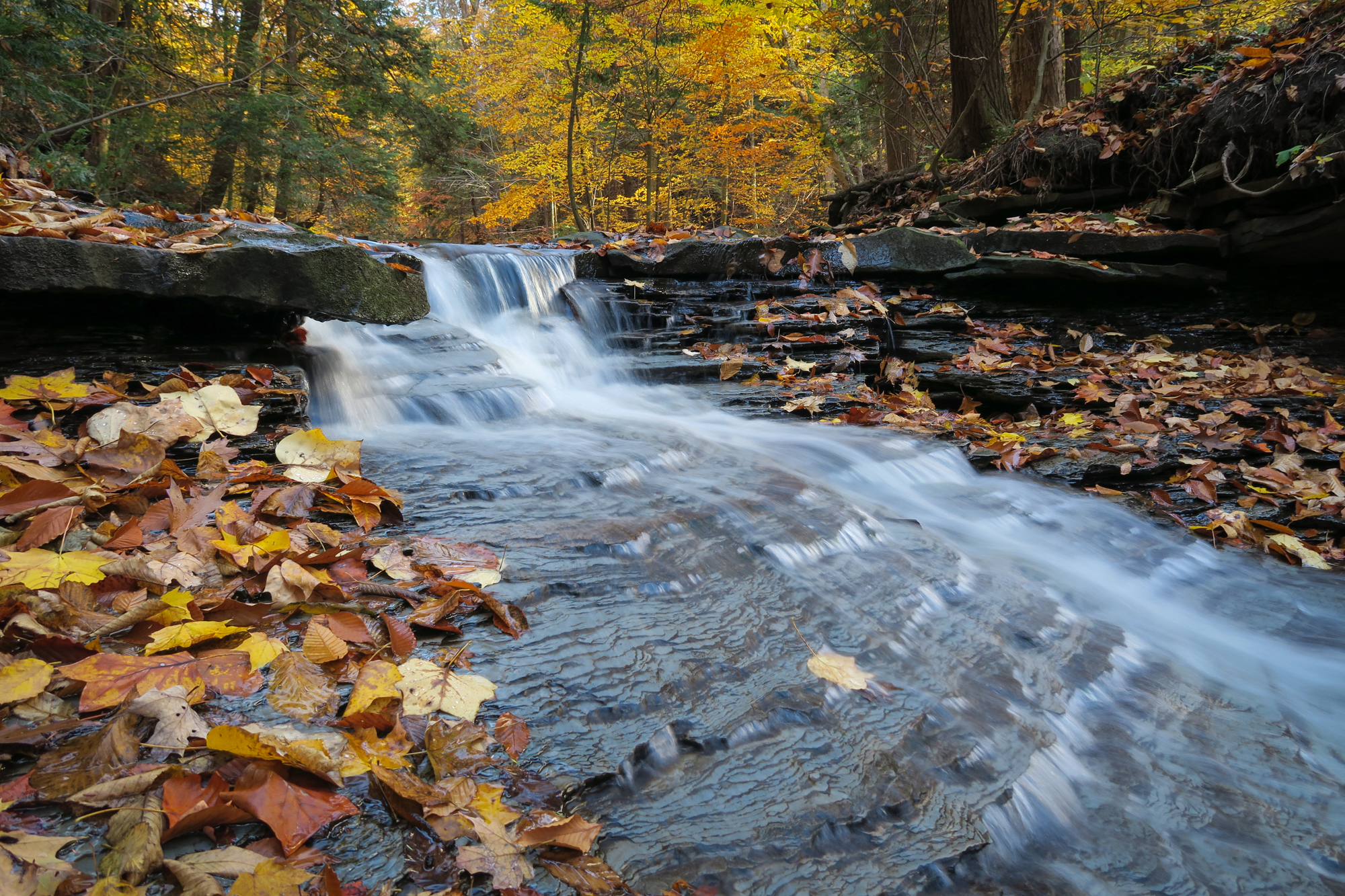 Penitentiary Glen_10.29.14-9_pp-4.jpg