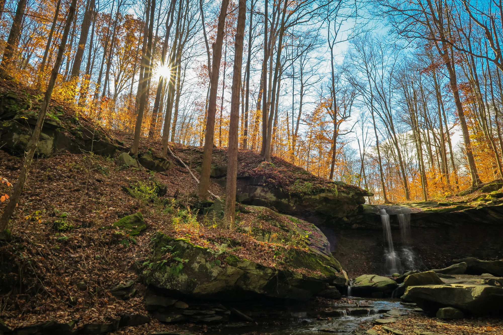 CVNP_11.2.14-102_pp-1.jpg