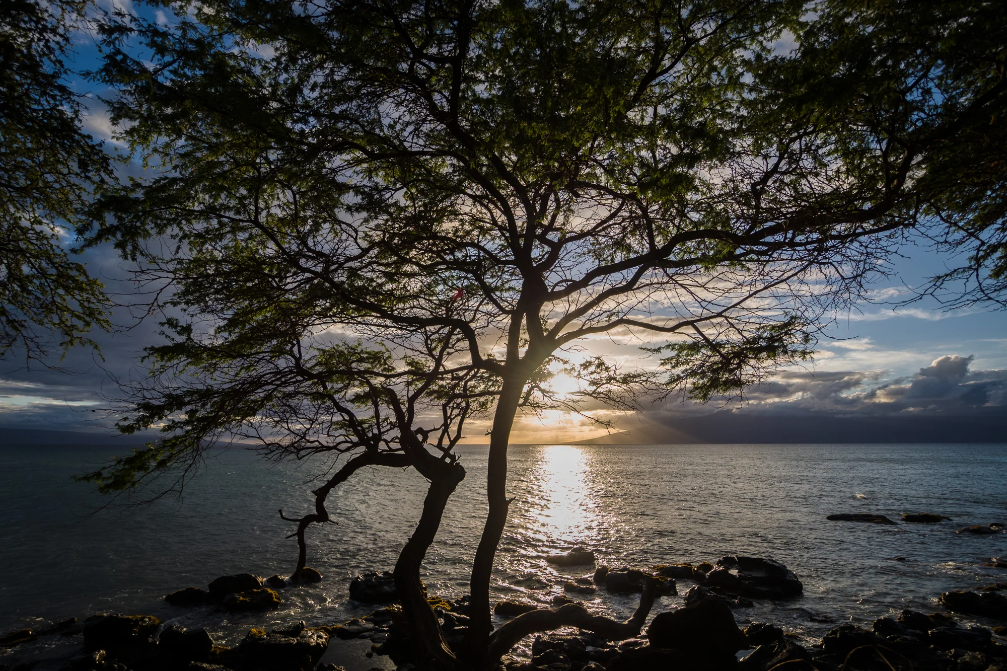 Hawaii-Maui_6.4.13-50_pp.jpg