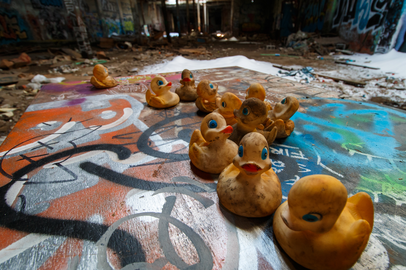 UX-Rubber Duck_2.23.15-11_pp.jpg