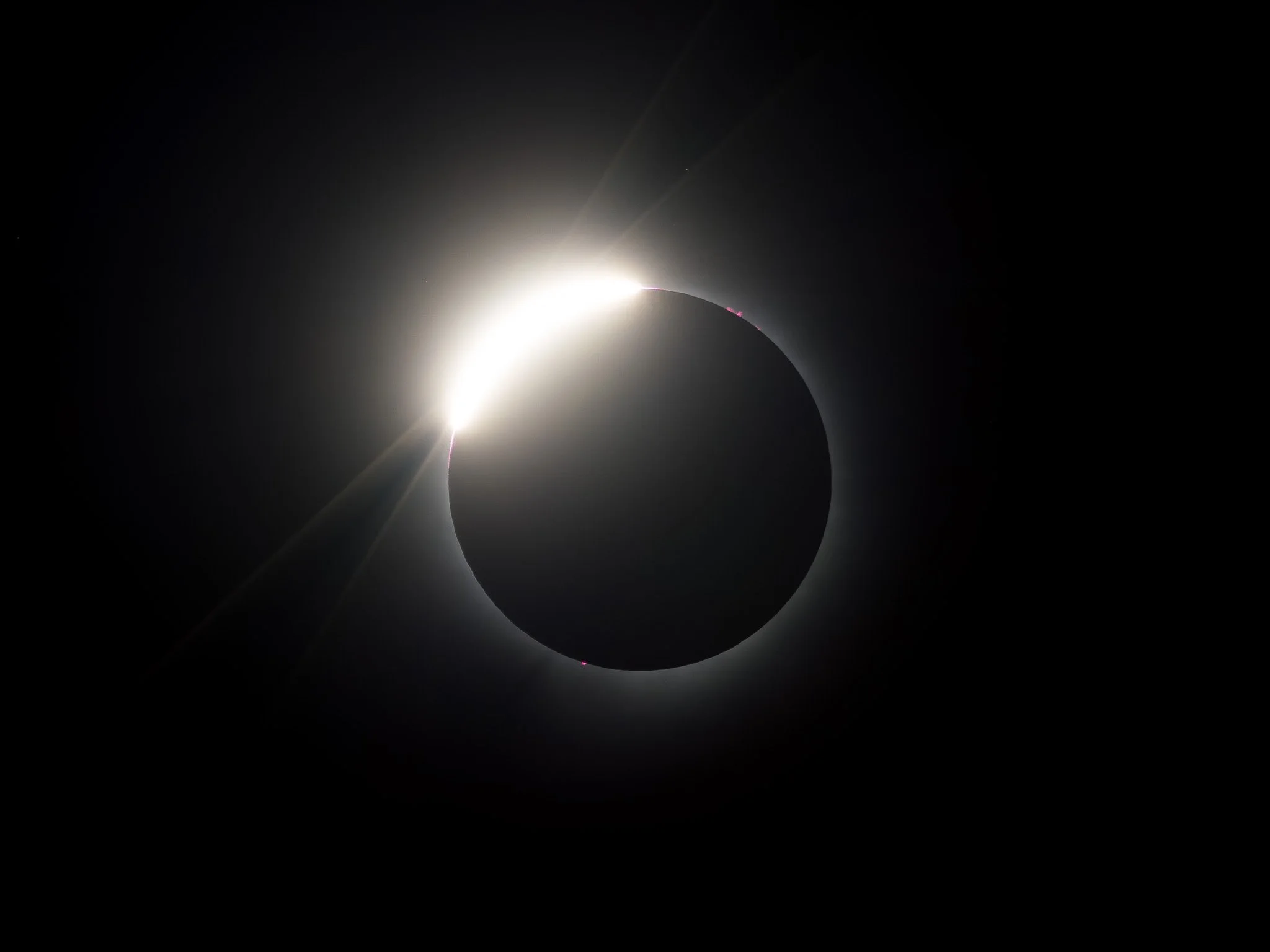 2024: A Year to Look Up