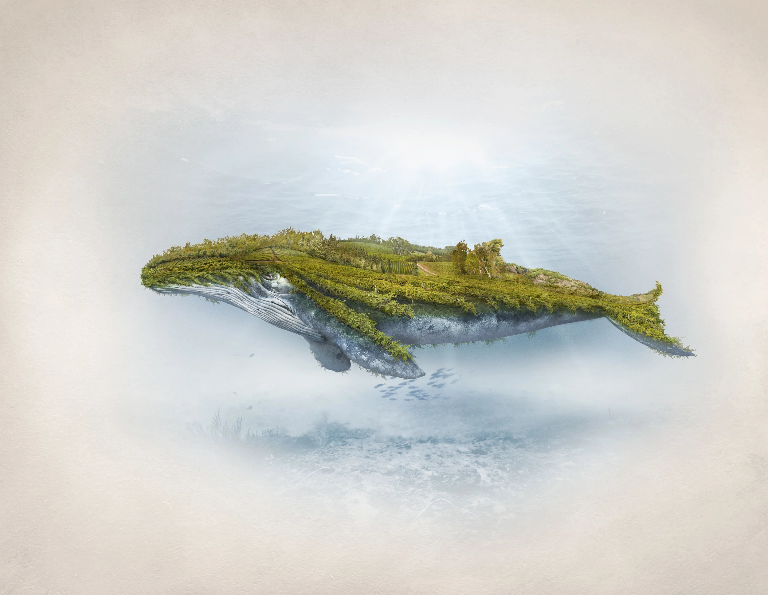 CGI exploration