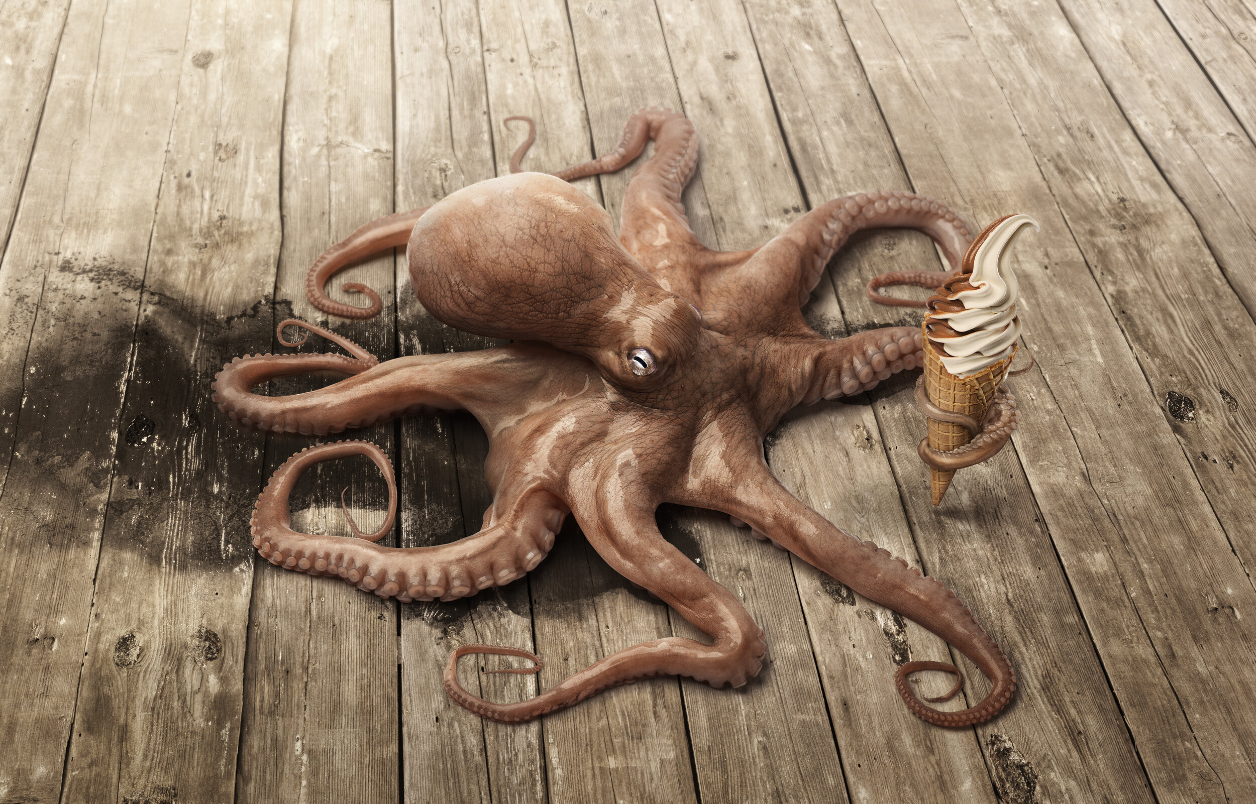  Octopus  CGI • Brad Pickard 