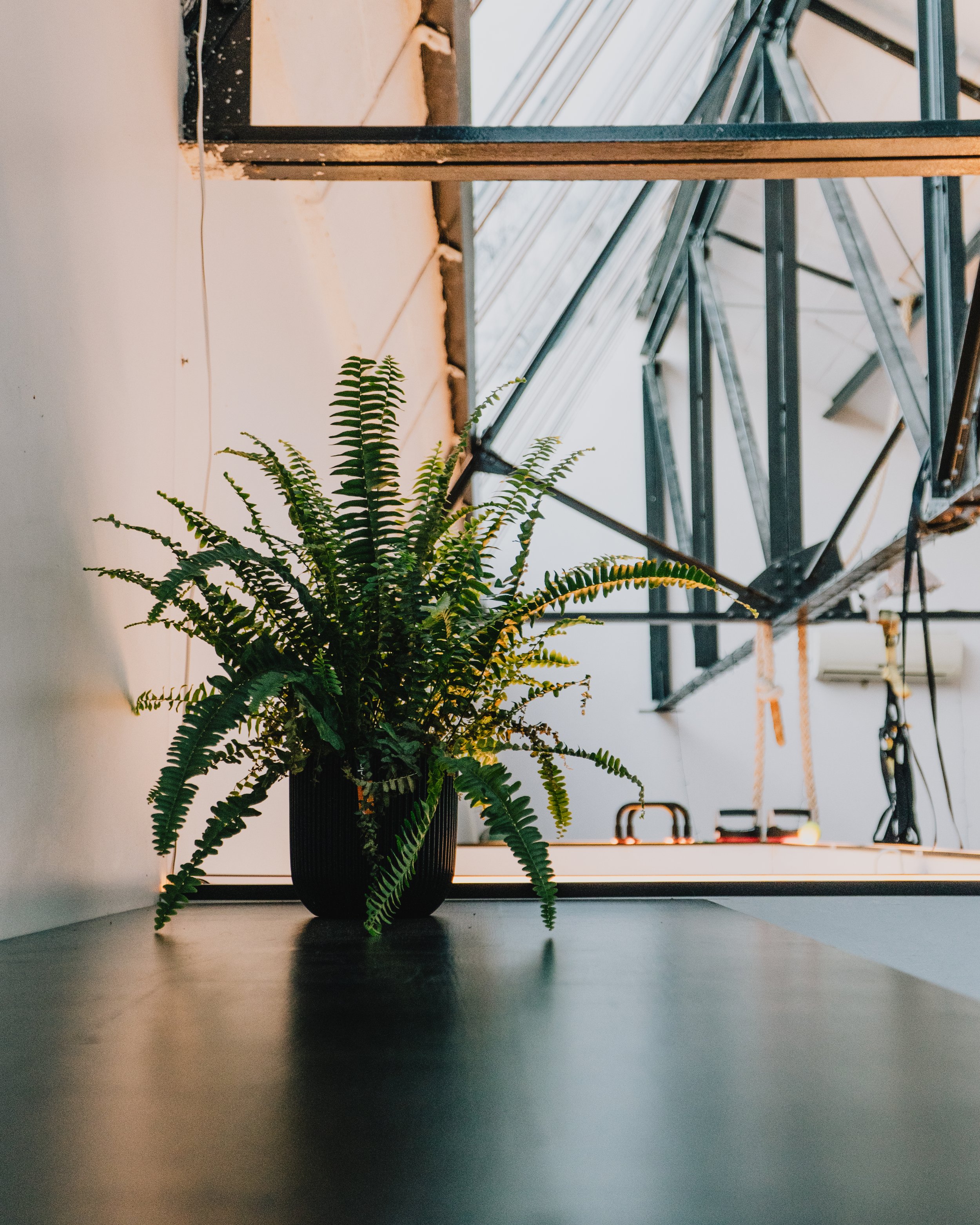 Movement Loft in gent