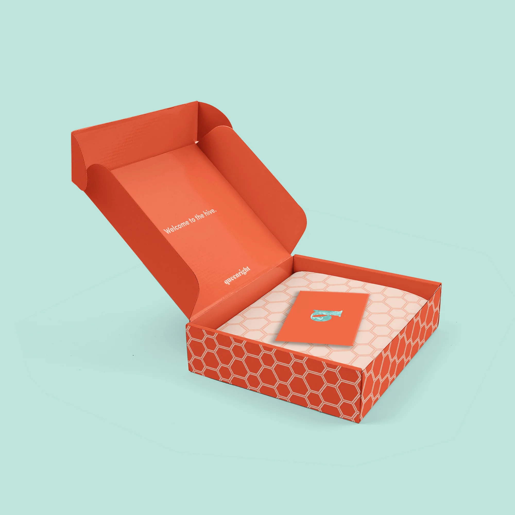 Box_Open2.jpg