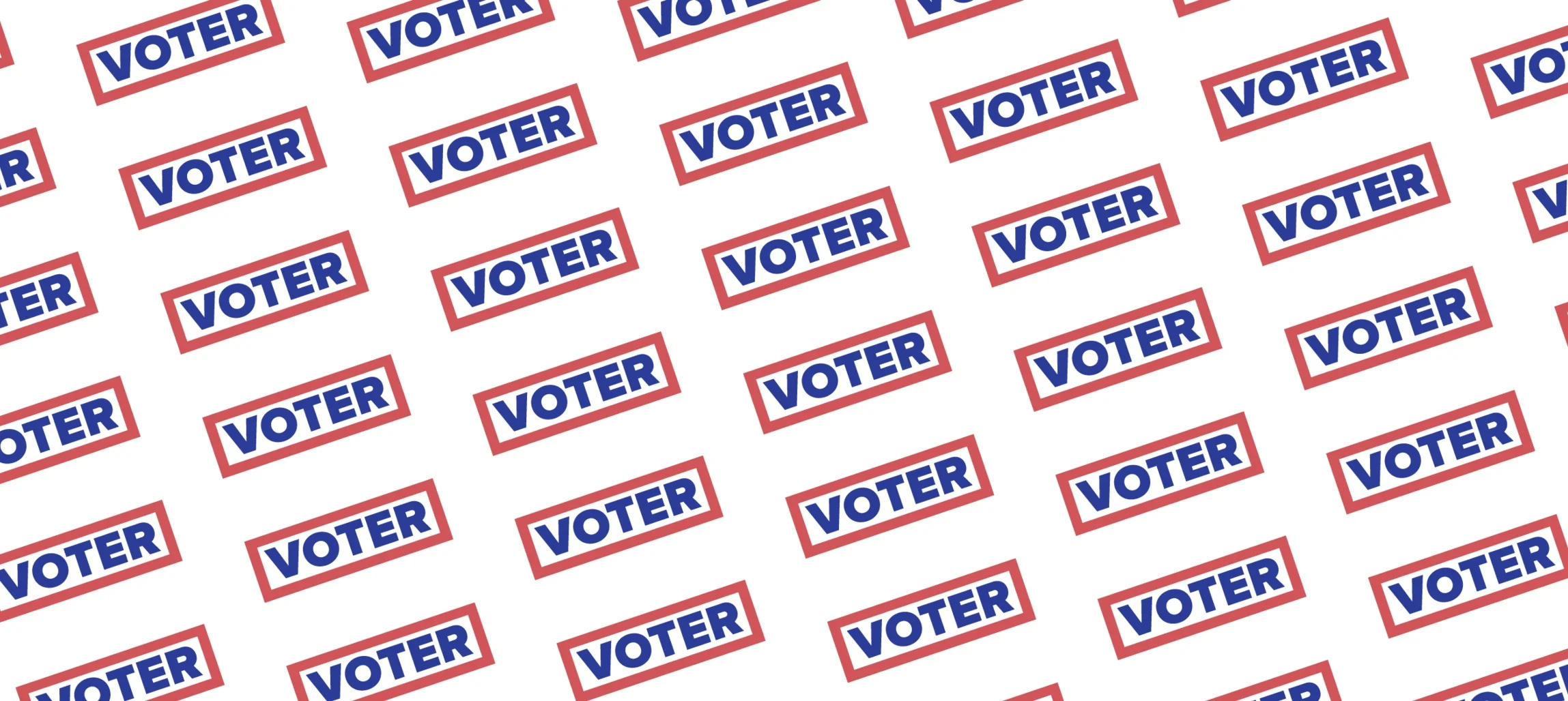 300VoterPattern_RGB%402x.jpg