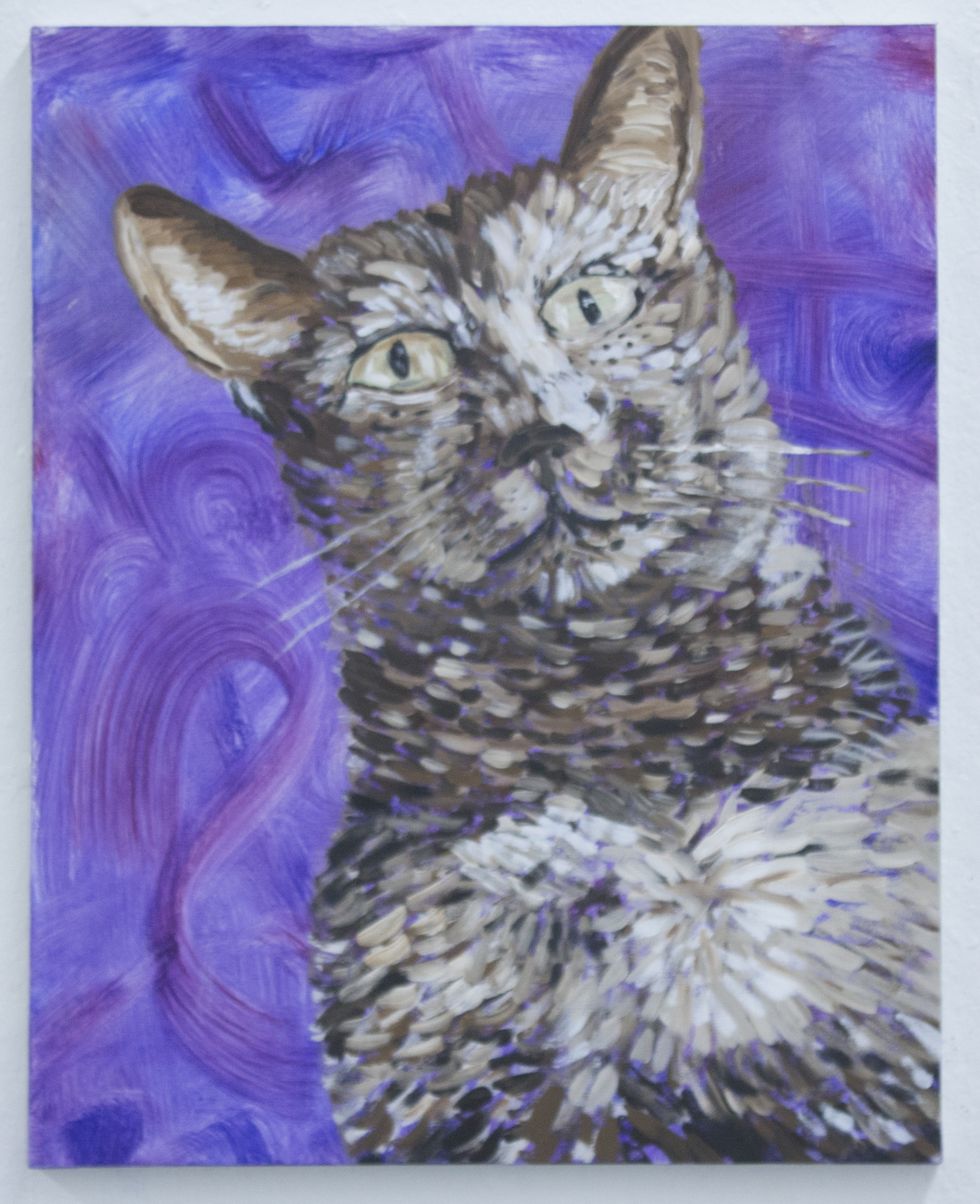 Disappointed Kitty, 2013, oil on canvas, 16 by 20, private collection