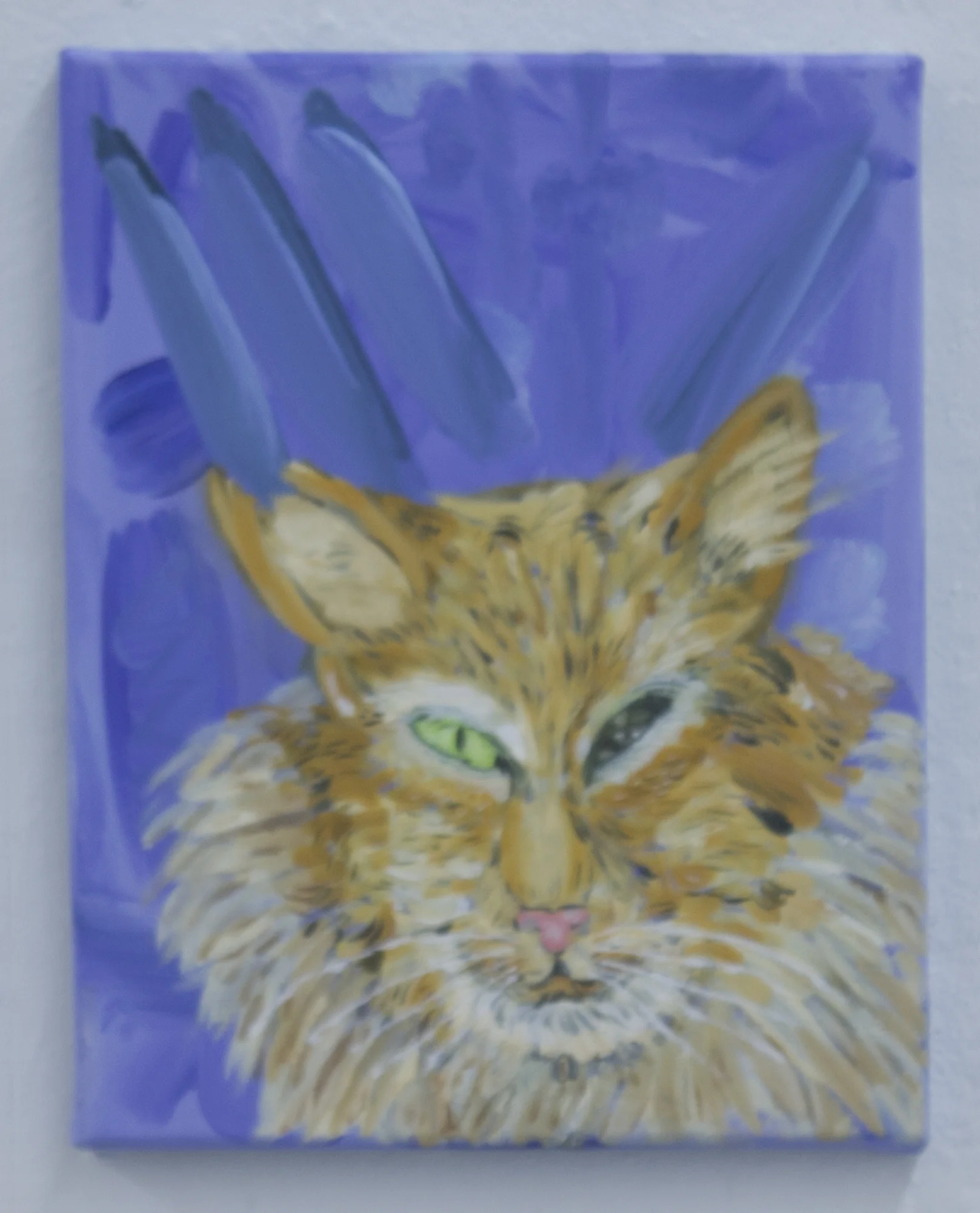 Kitty in Judgment, 2013, oil on canvas, 11 by 14, private collection