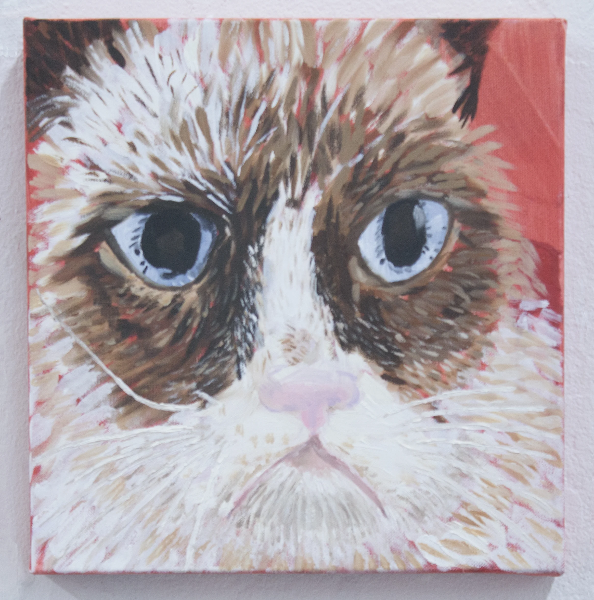 Angry Kitty, 2013, oil on canvas, 12 by 12, private colletion