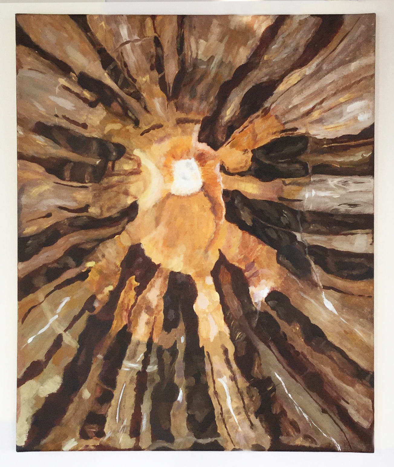 Shell Study, 2015, acrylic on canvas, 24 x 36, private collection