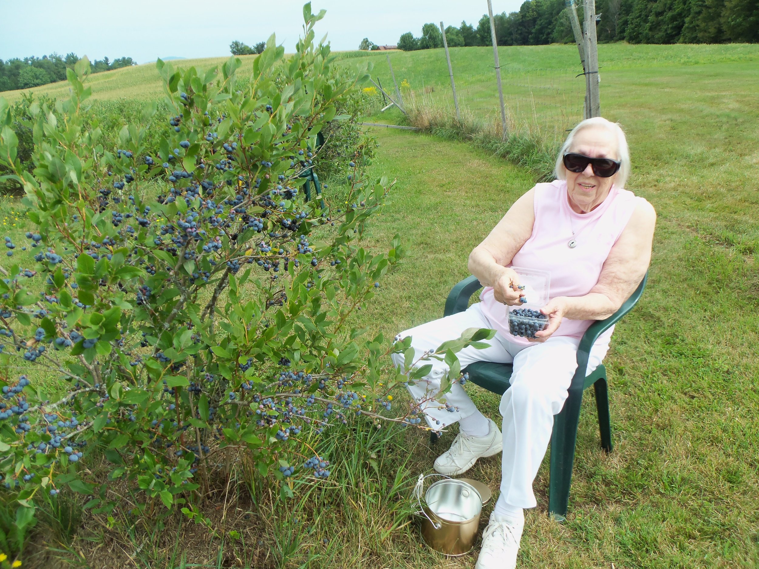 baby easton, blueberry picking 008.JPG