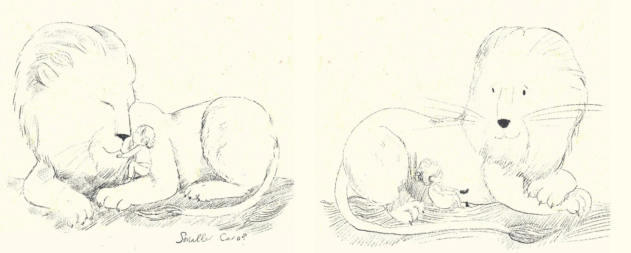 The Snow Lion took many, many pages of sketchbook scribbling before I was satisfied I had found his character. It was clear early on, however, that his and Caro's relative sizes would be important to how we understood their relationship - too big and he seemed overbearing, while when he was much smaller he seemed to lack the qualities of comfort and support he needed to offer her.