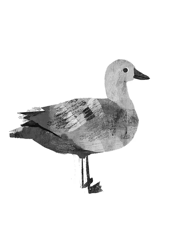 Goose.jpg