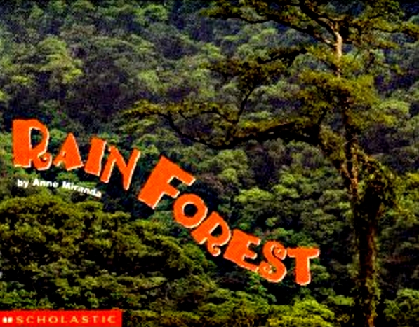 Rain Forest - Copy.jpg