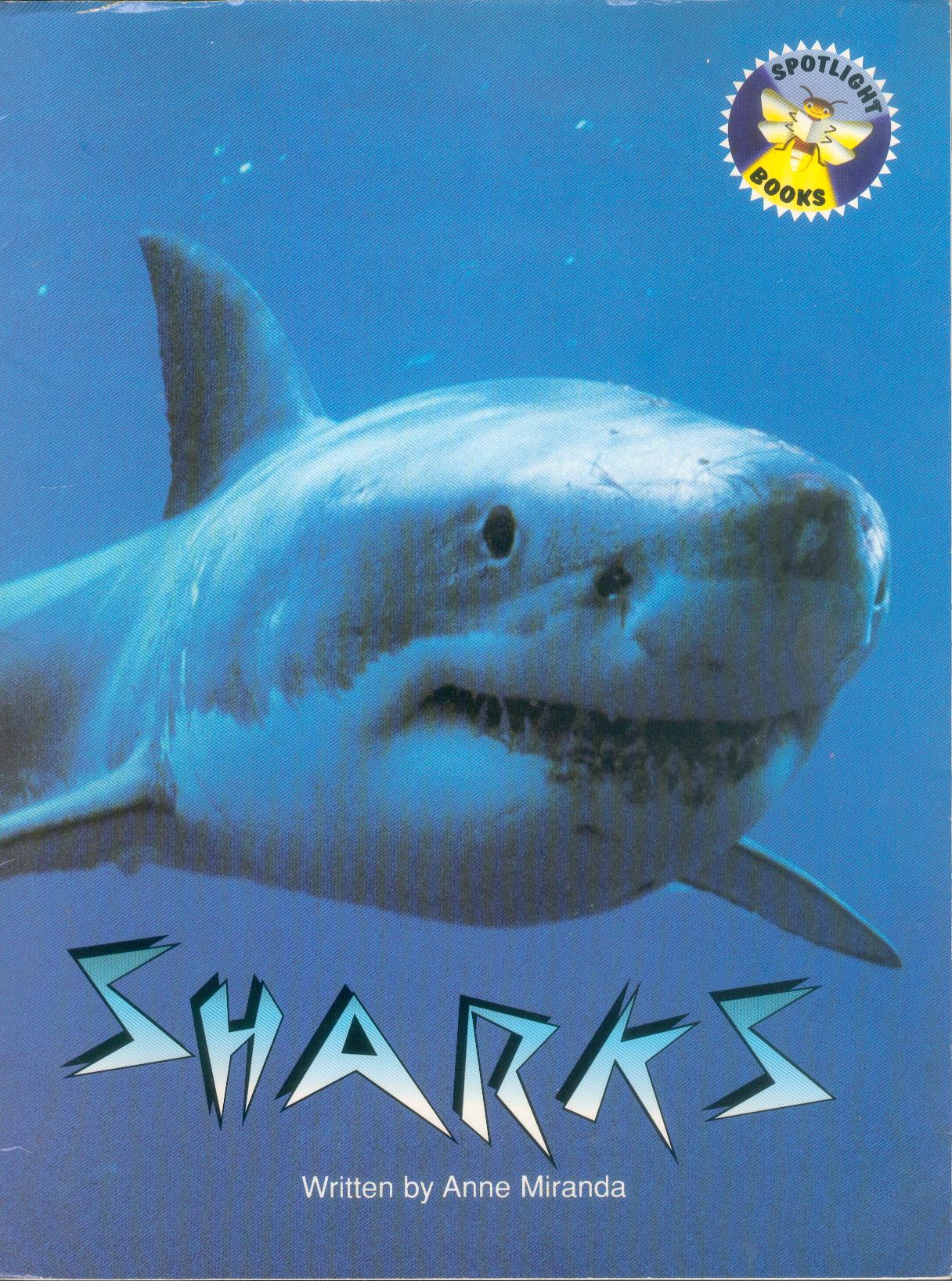 Sharks.jpg