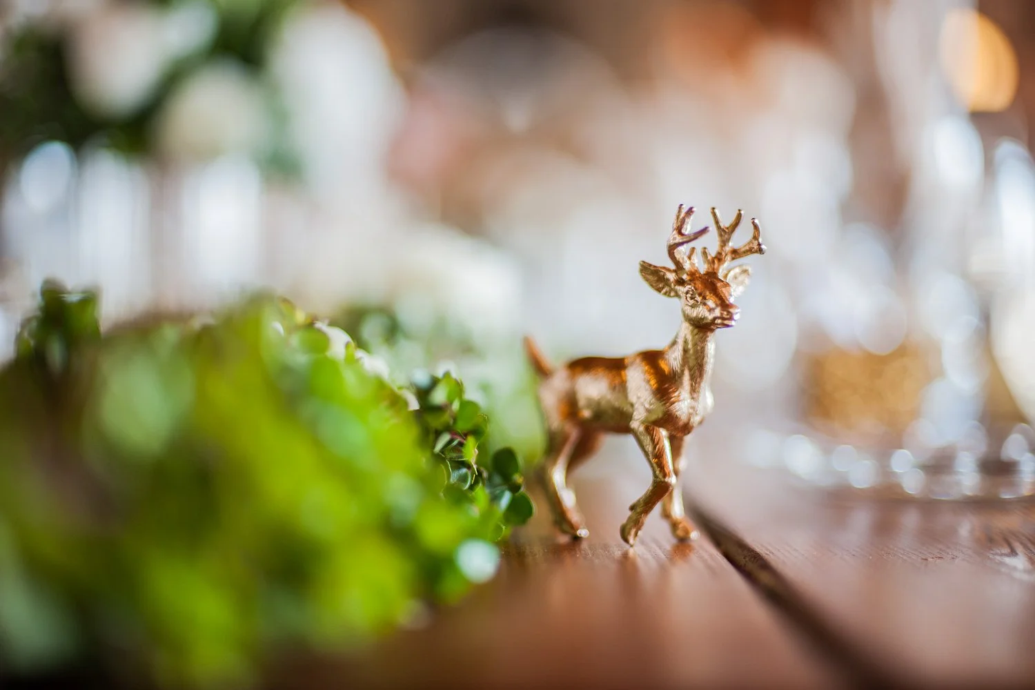 Get Inspired - Breathtaking displays - Sara & Jay