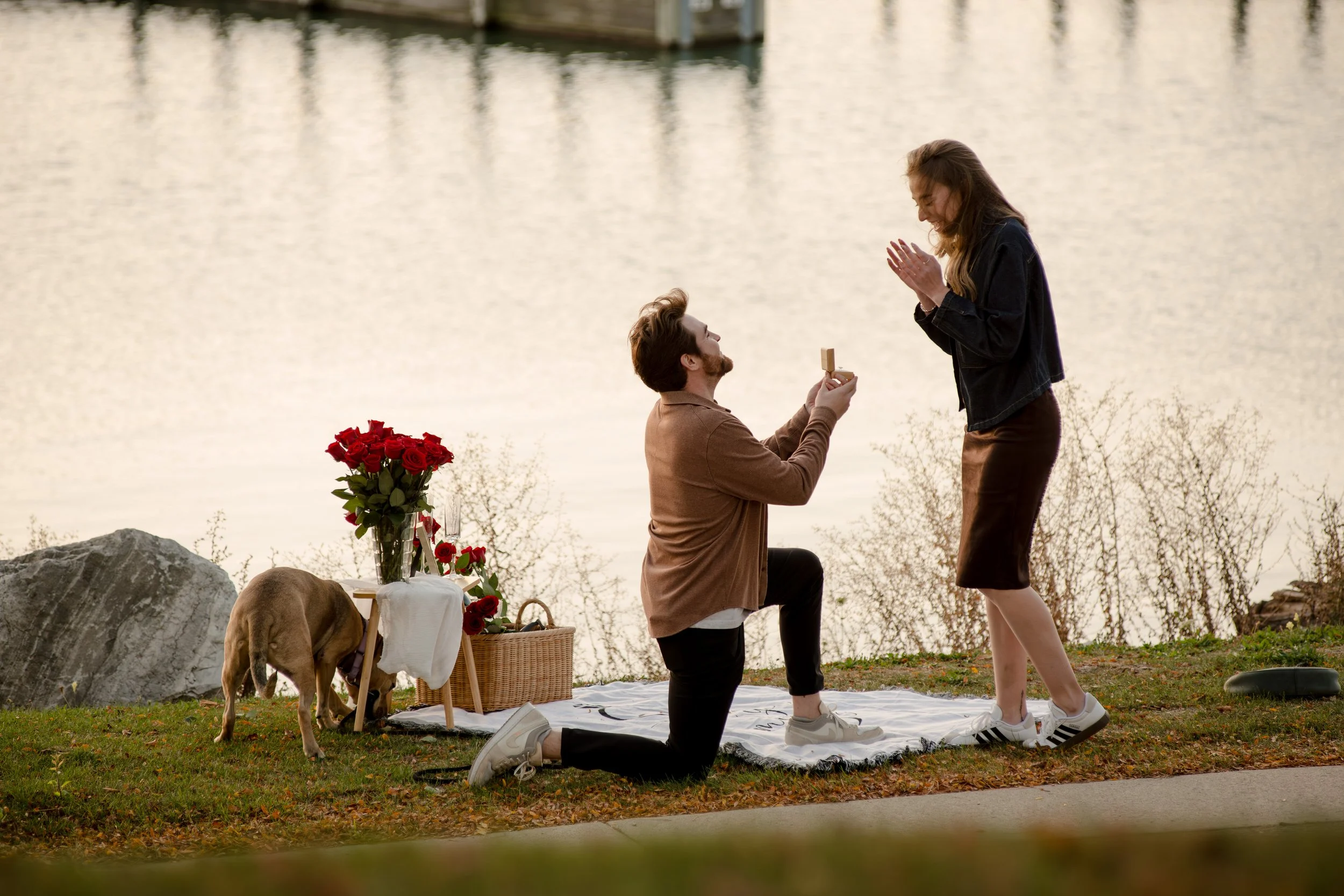 Proposal at Milliken State Park in Detroit Michigan with couple celebrating engagement