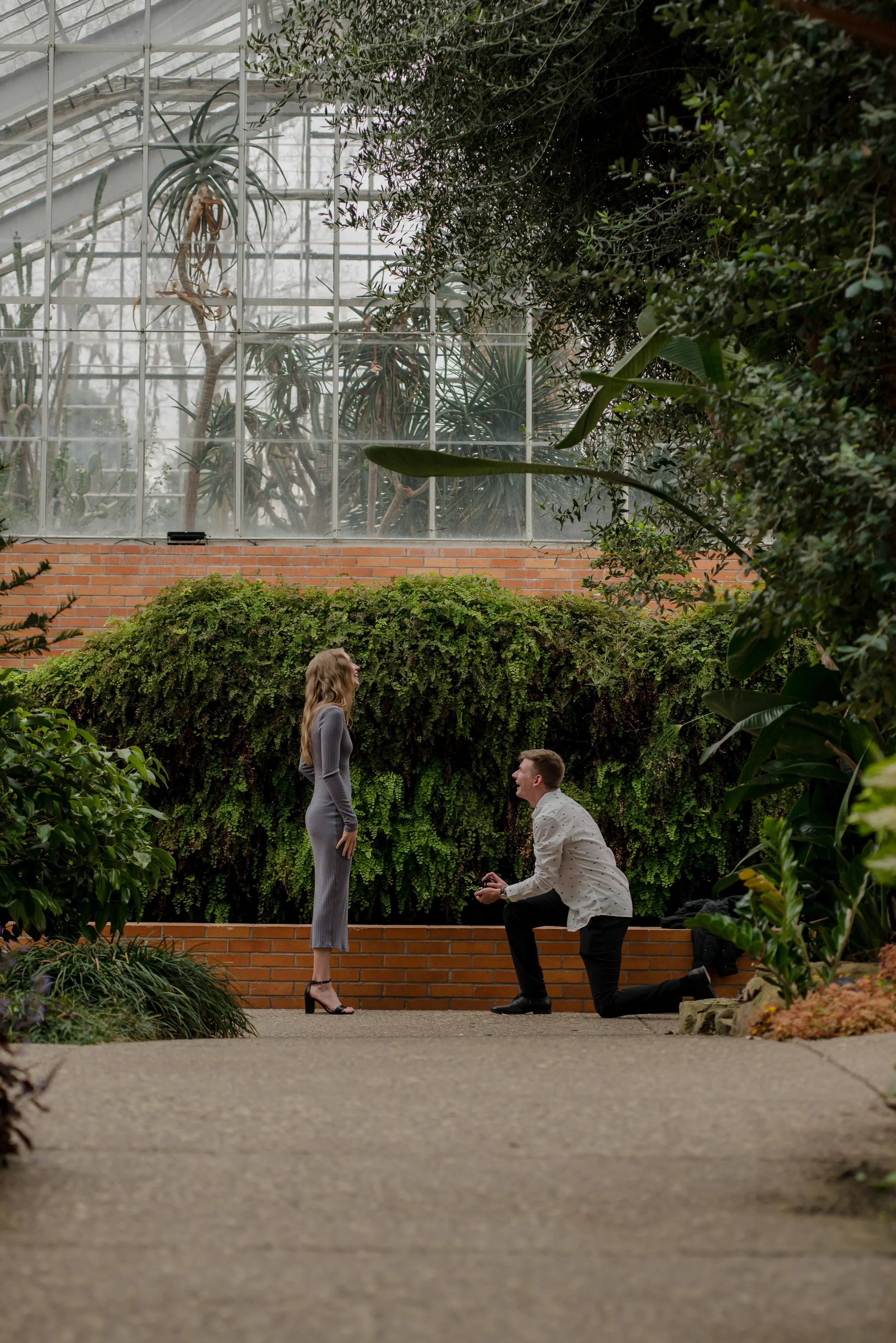 Matthaei Botanical Gardens engagement proposal photography in Ann Arbor Michigan