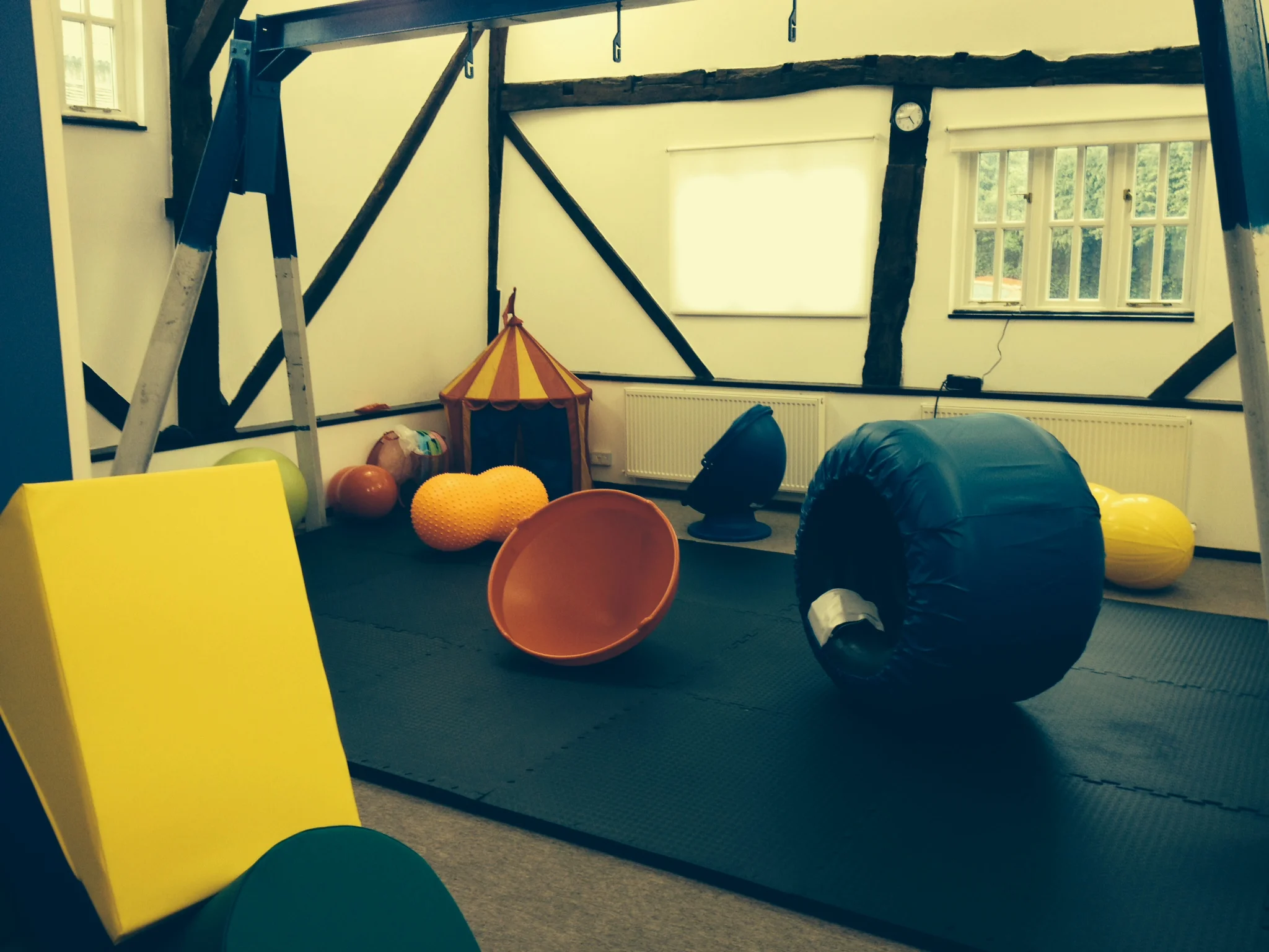 Jigsaw OT Open Day - 17th June 2014