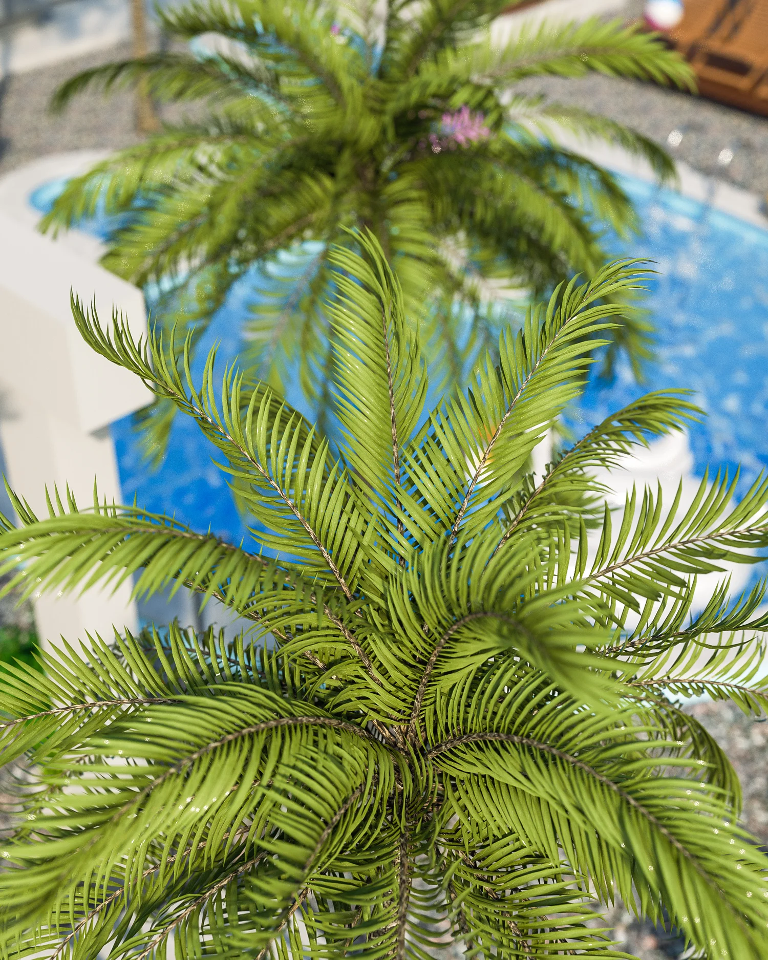 PoolSeason_Illustration_DOF_06.jpg