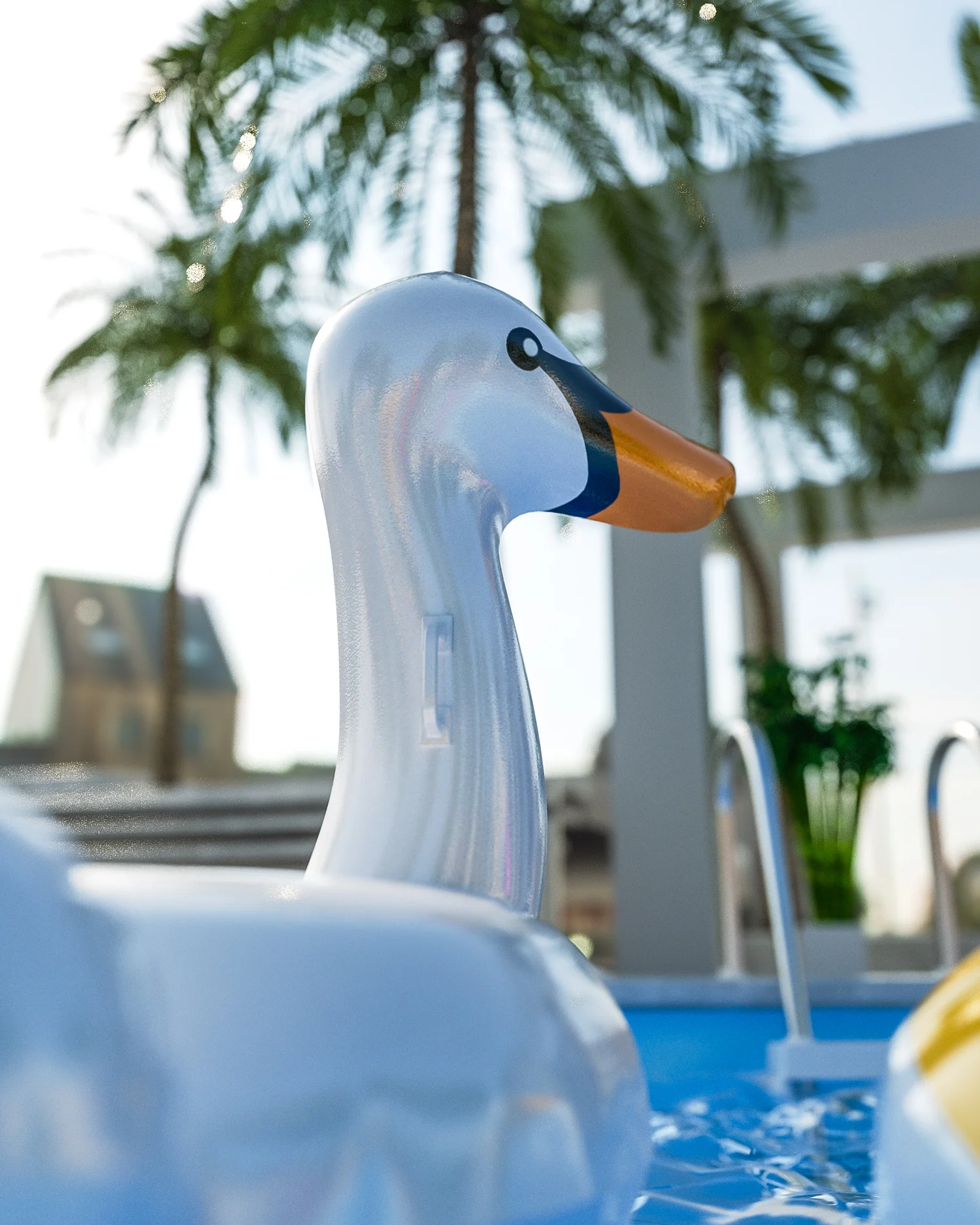 PoolSeason_Illustration_DOF_12.jpg