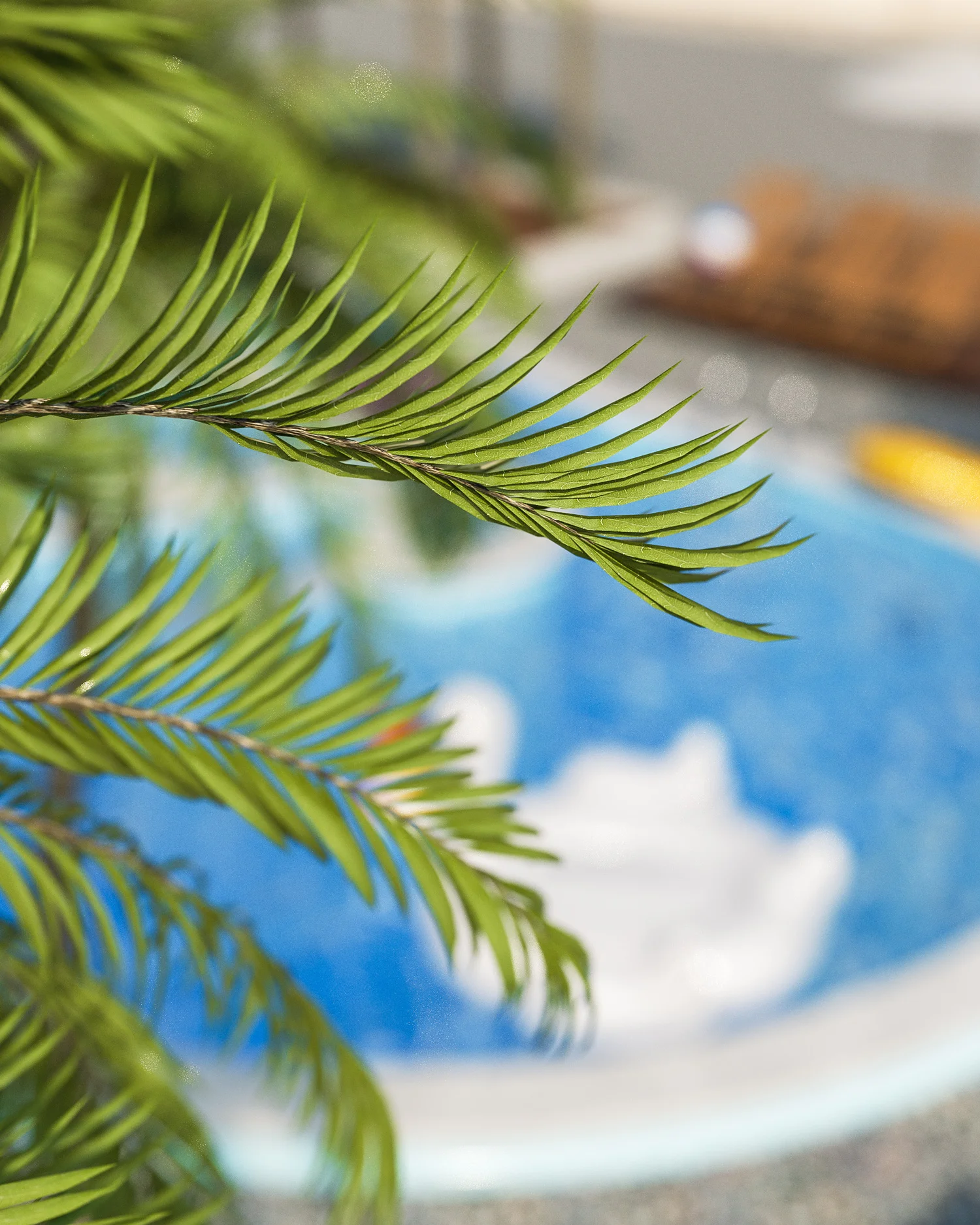 PoolSeason_Illustration_DOF_05.jpg