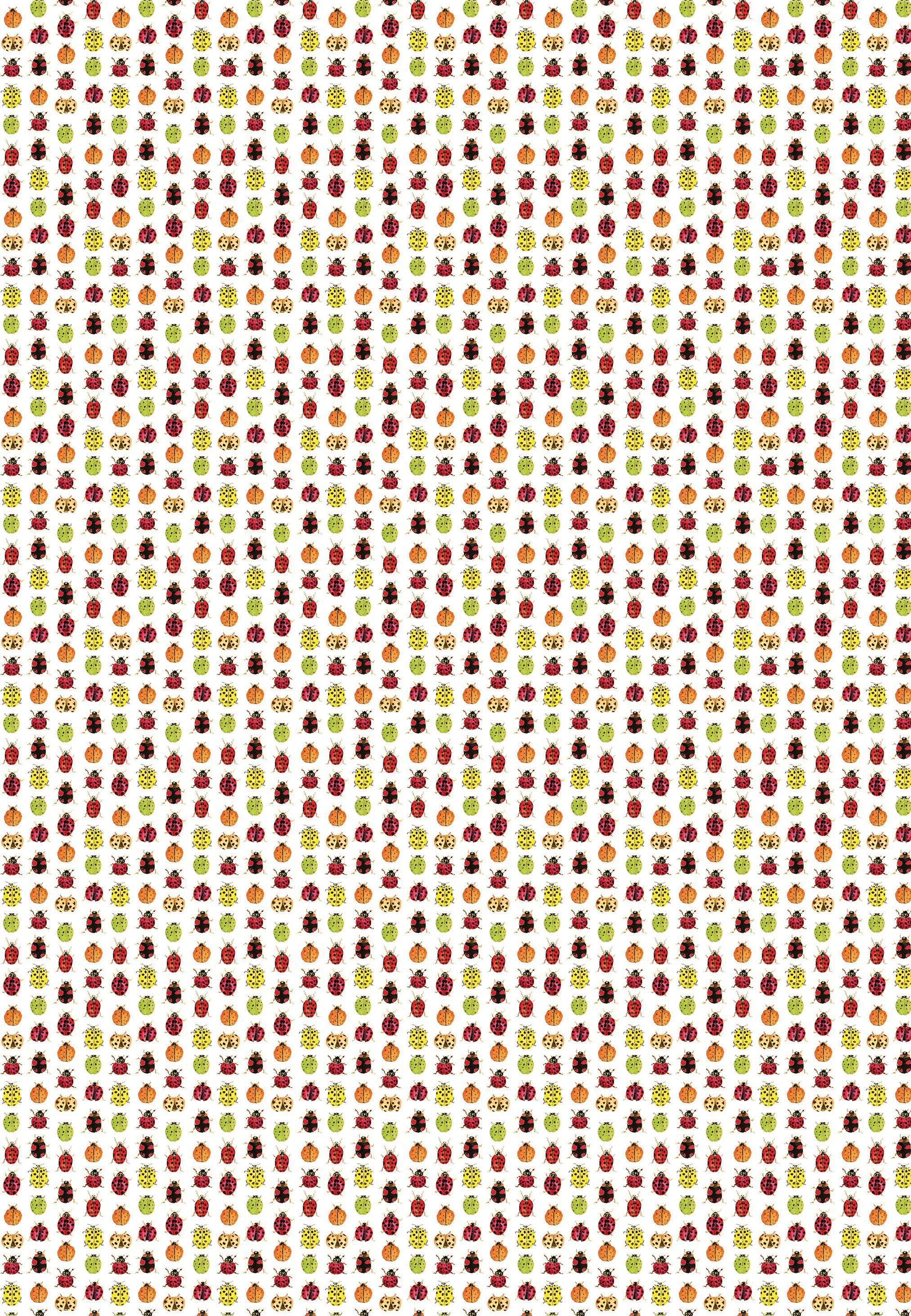 Ladybug Gift Wrap.jpg