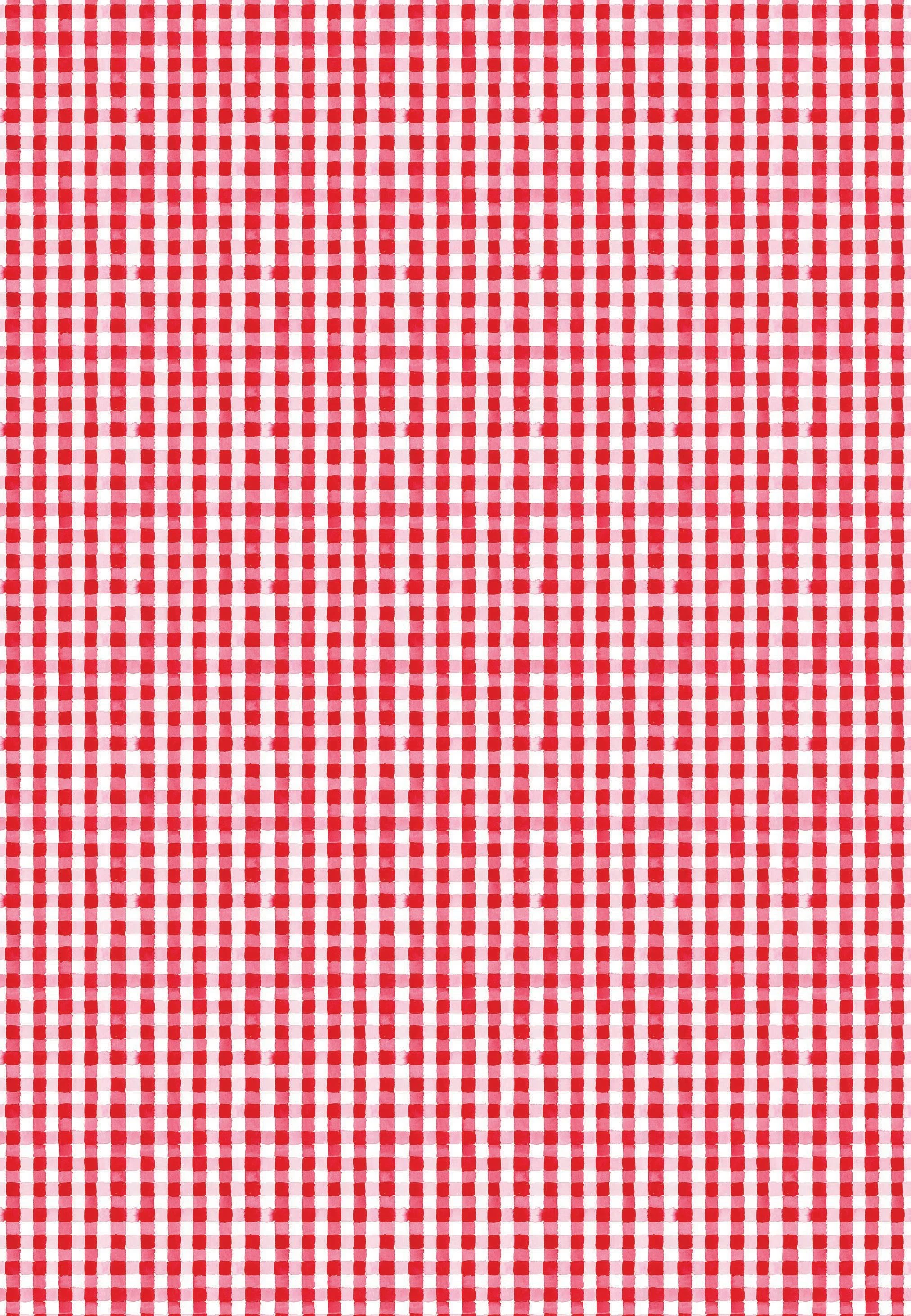Red Gingham Gift Wrap.jpg