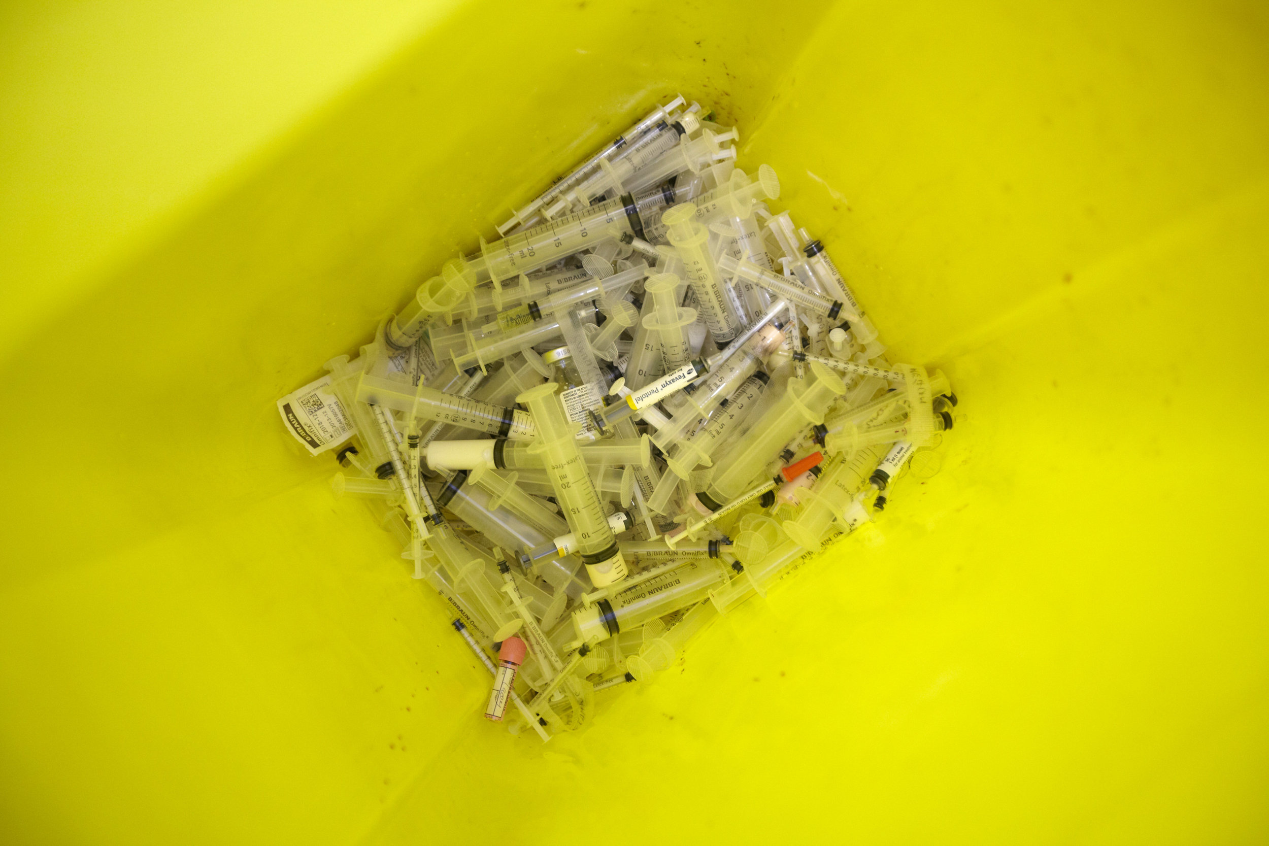 BATTERSEA_23.04.14_SURGERY_017.jpg