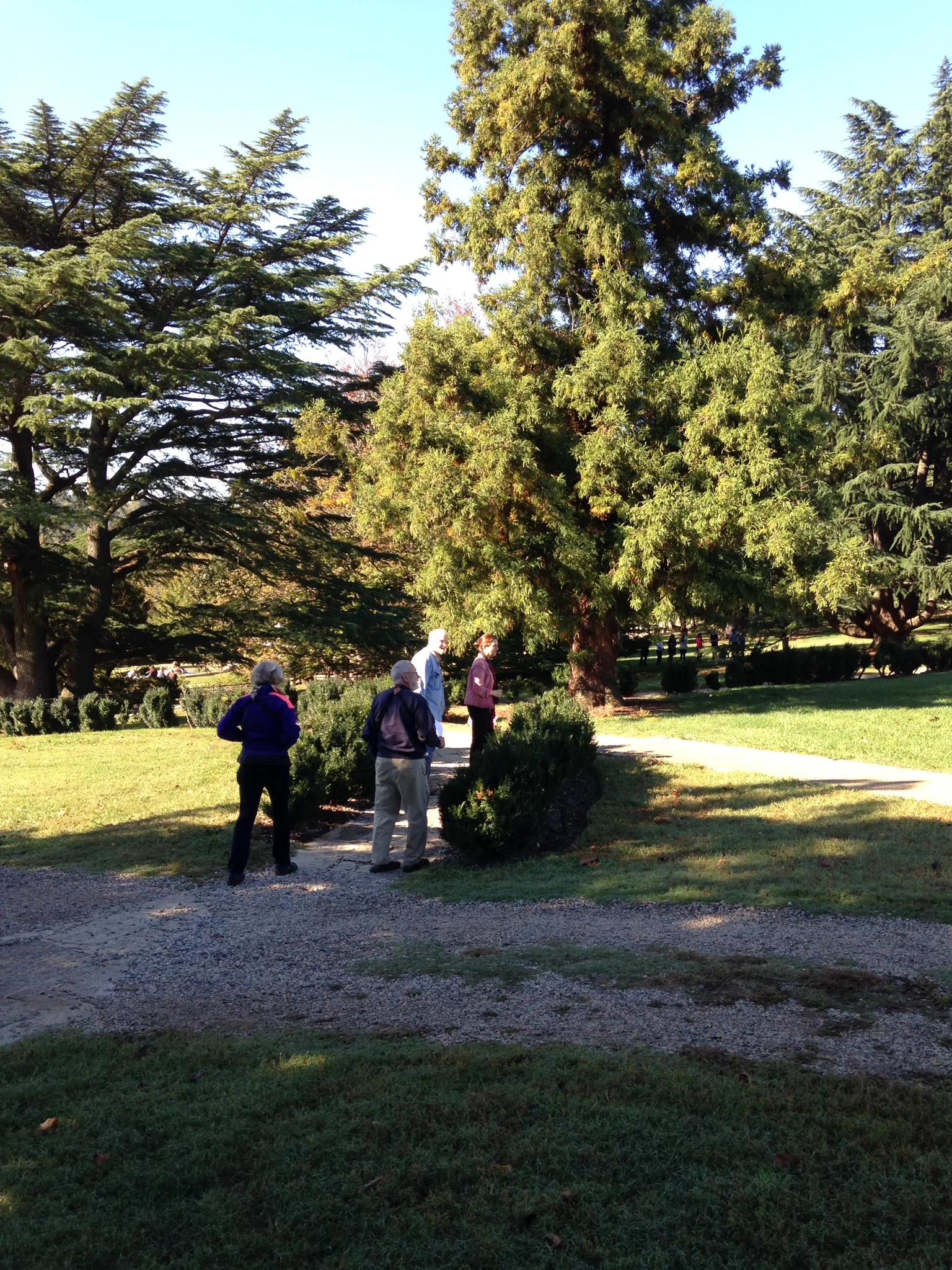 Taking Wing with Virginia Audubon