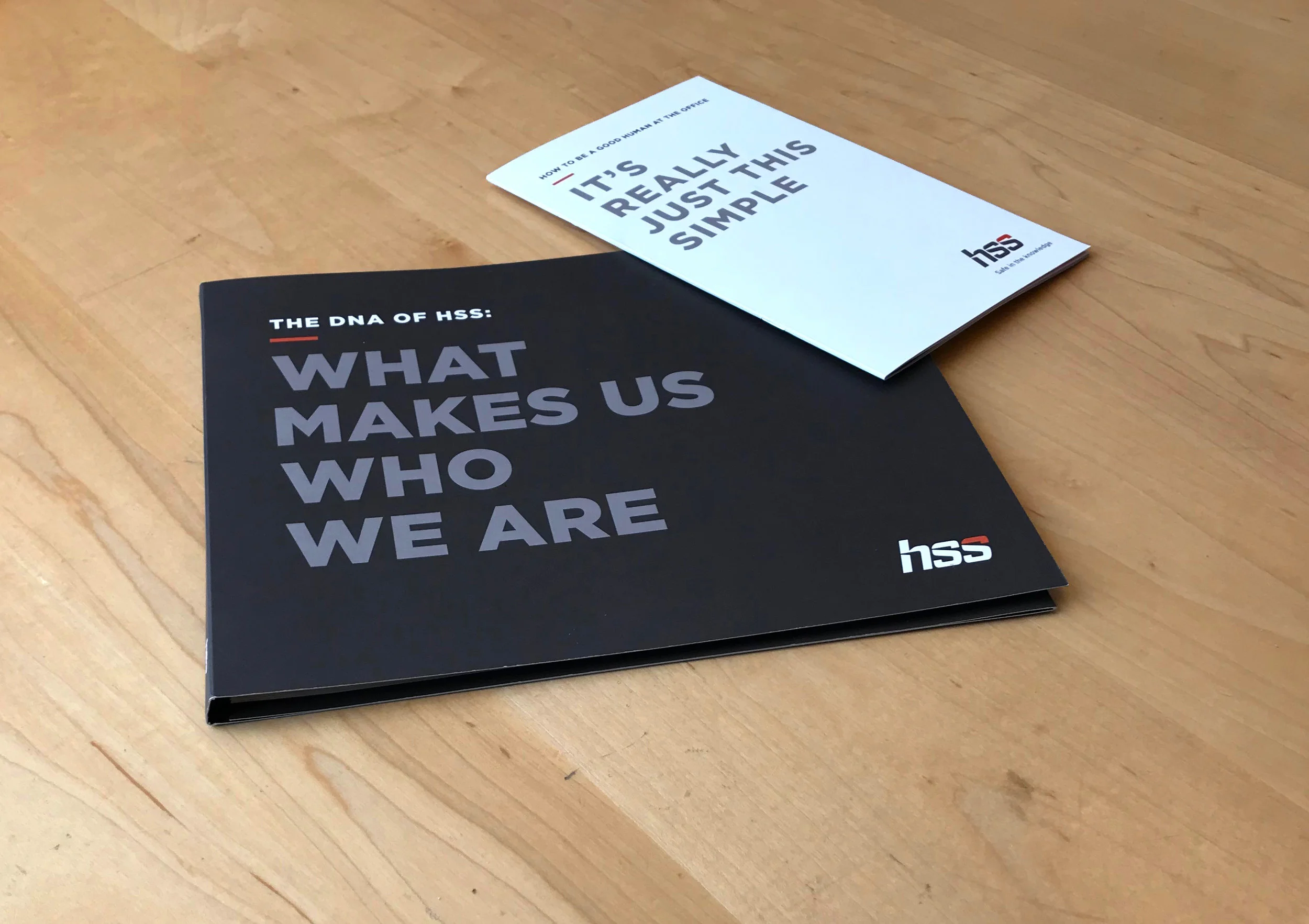HSSbrochure.jpg