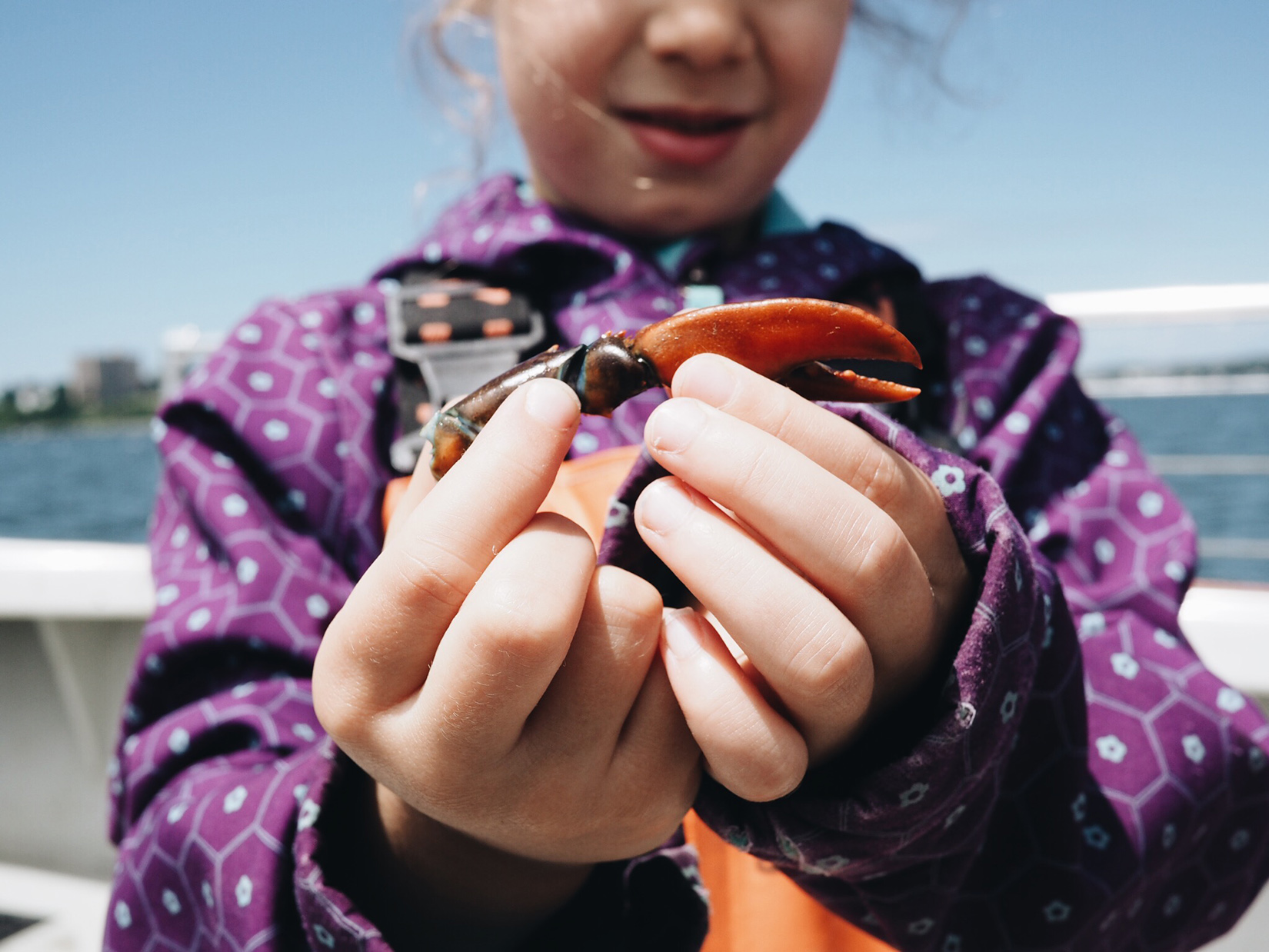 {No lobsters, but one little girl was so excited to find a claw!}