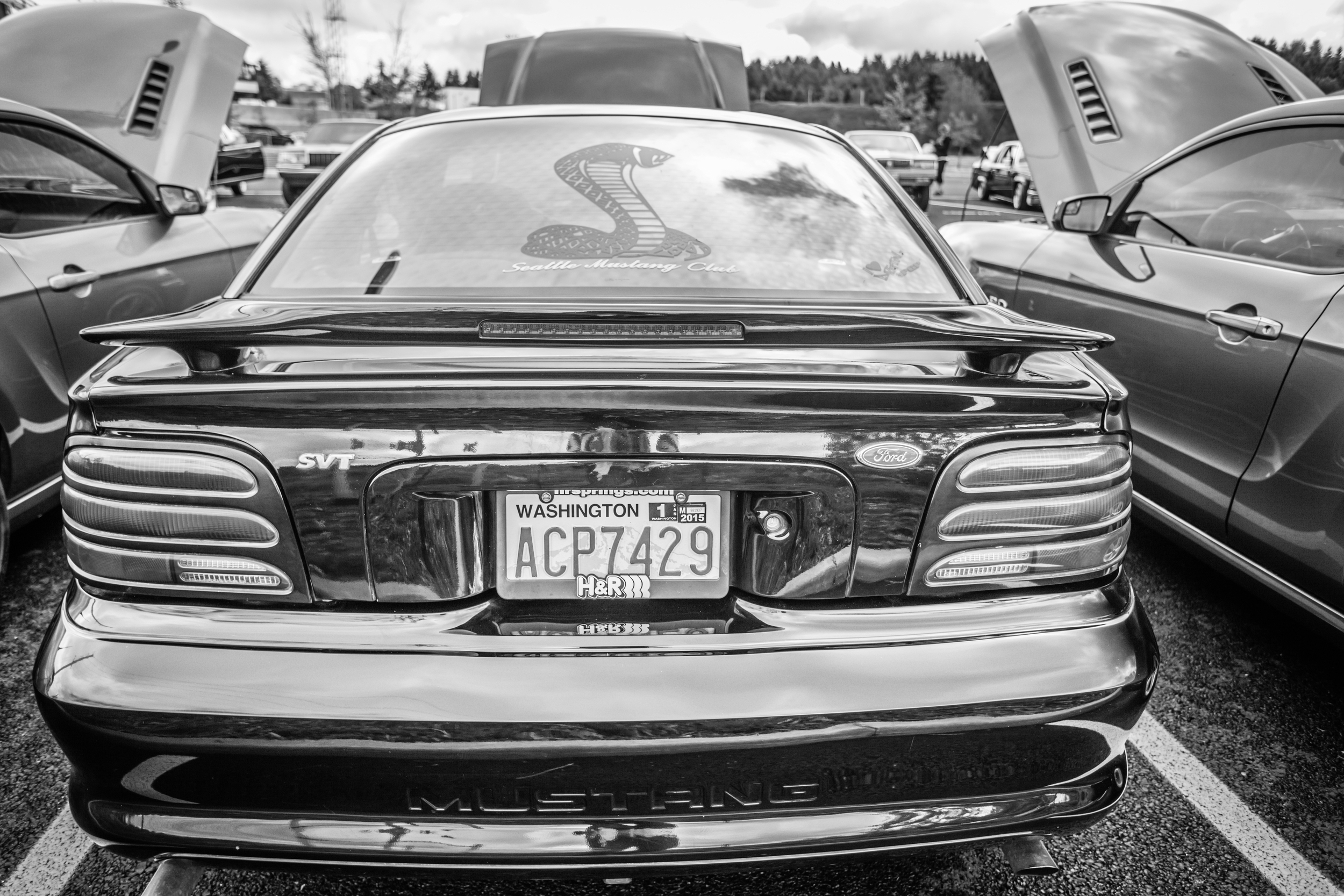 BKI_PNW-JDRF2014-439.jpg